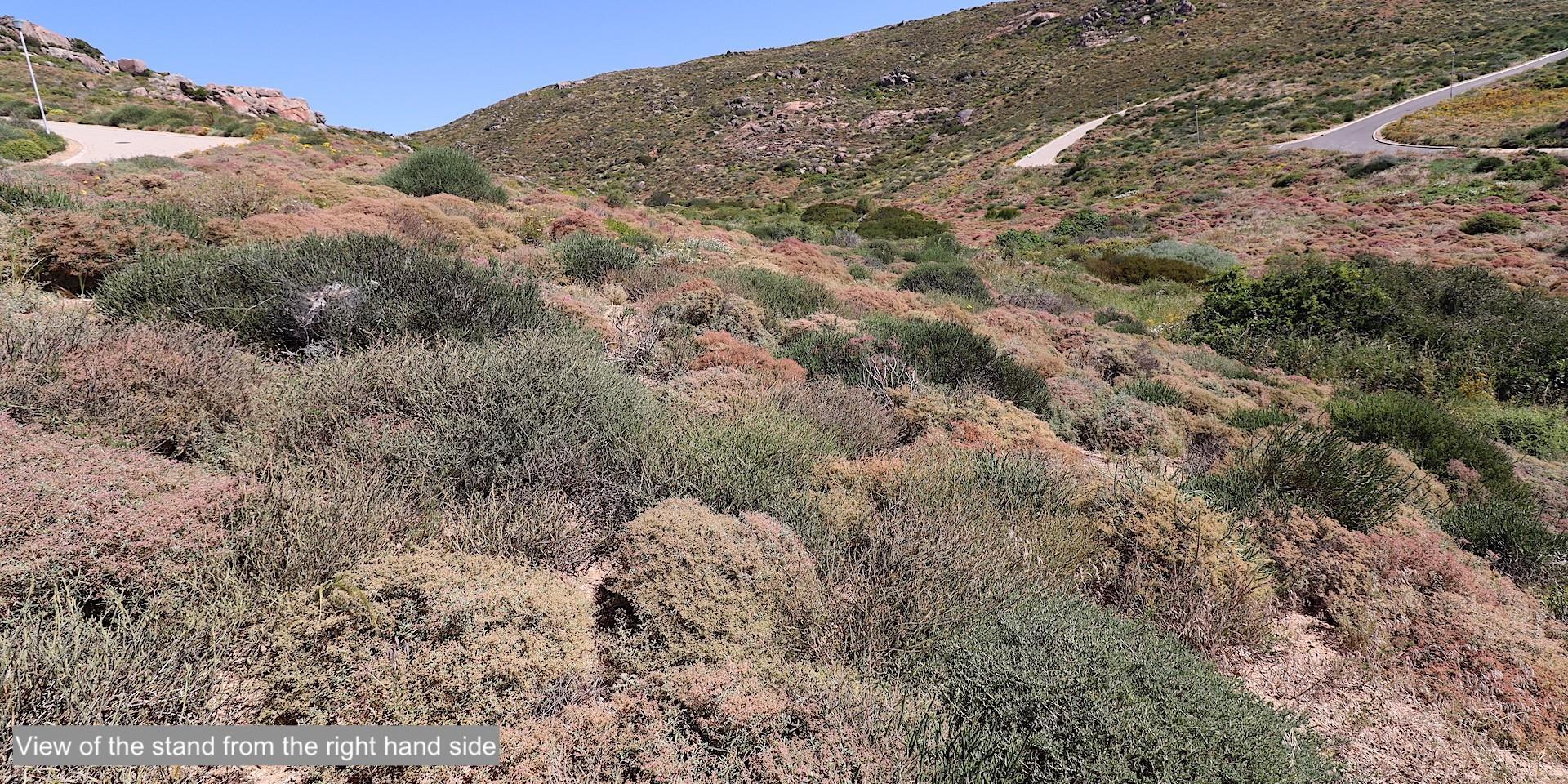 Image 5 of 6