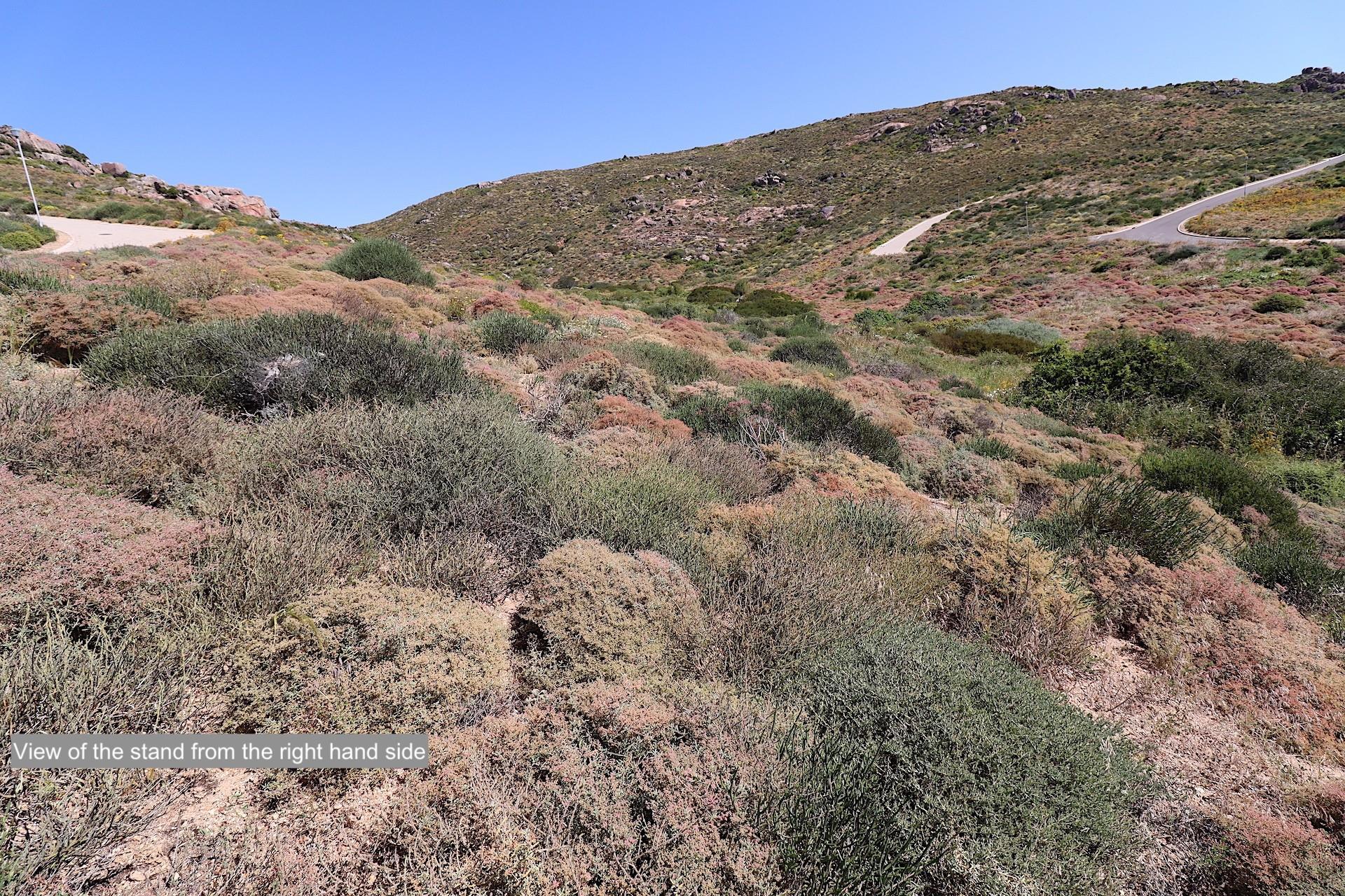 Image 5 of 6