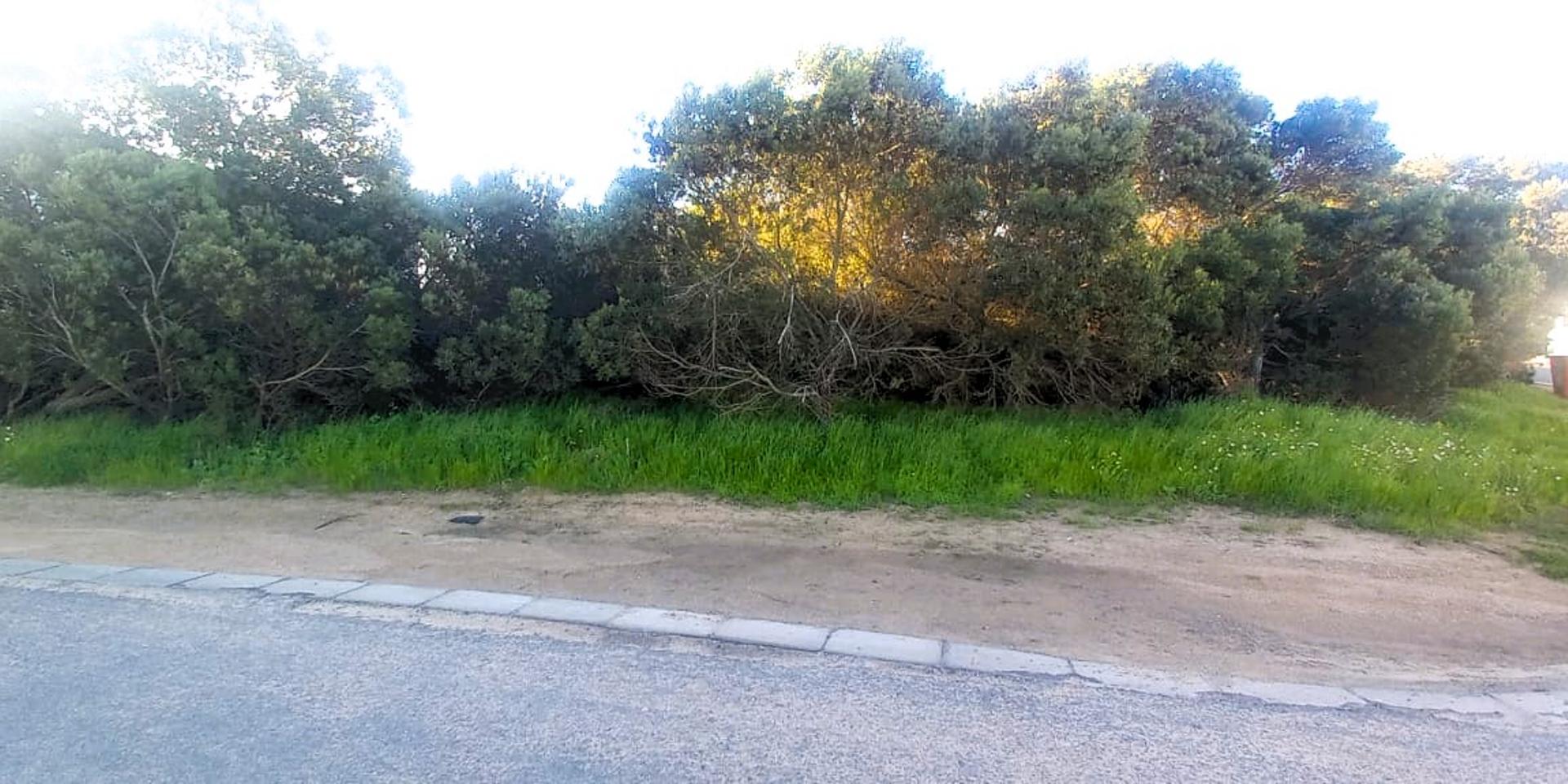 Image 5 of 6