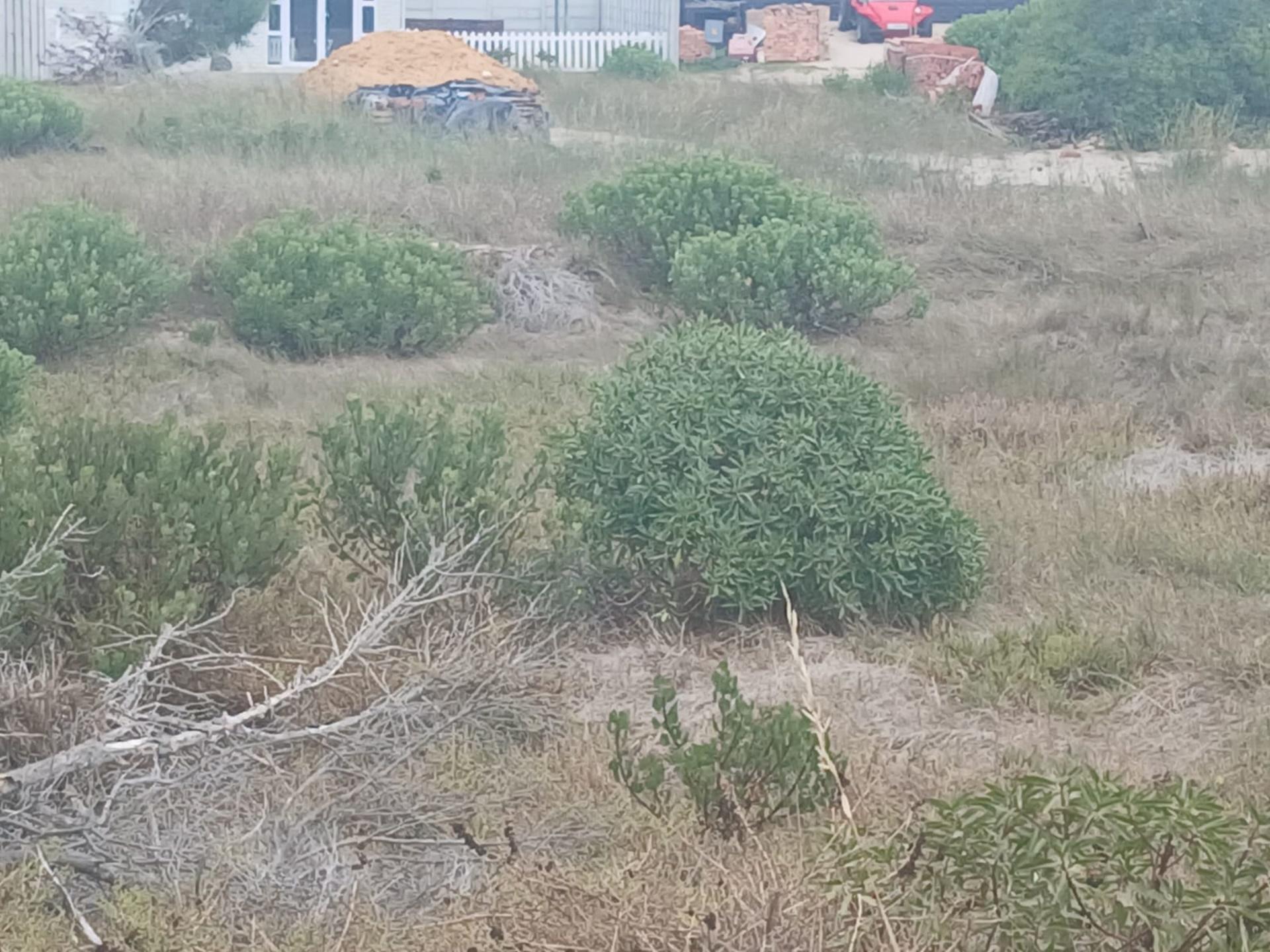 Image 15
