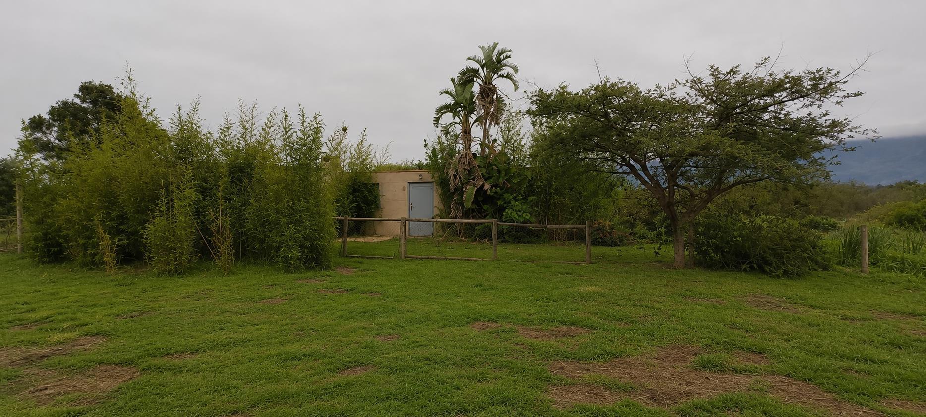 Image 40