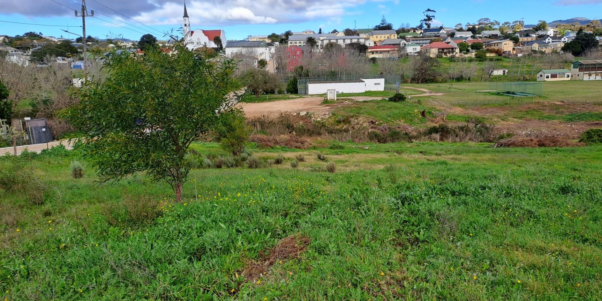 Image 3 of 6