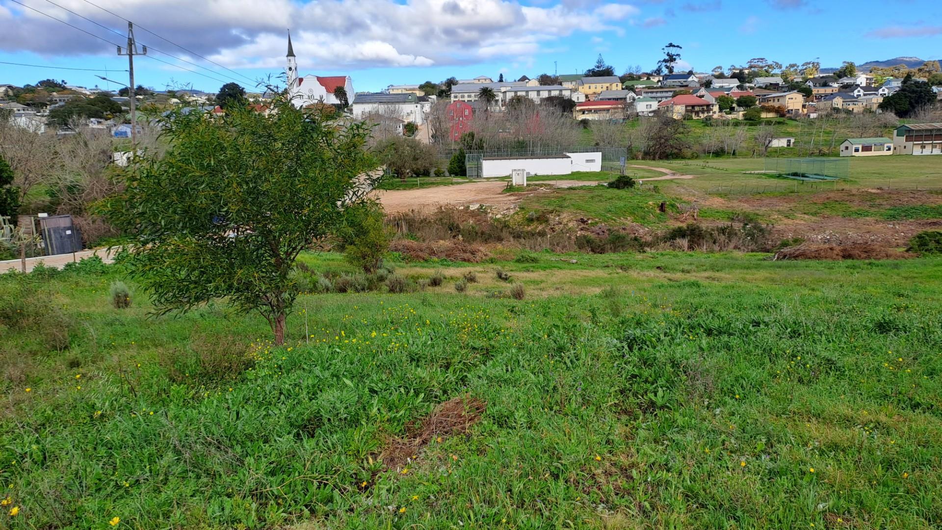 Image 3 of 6