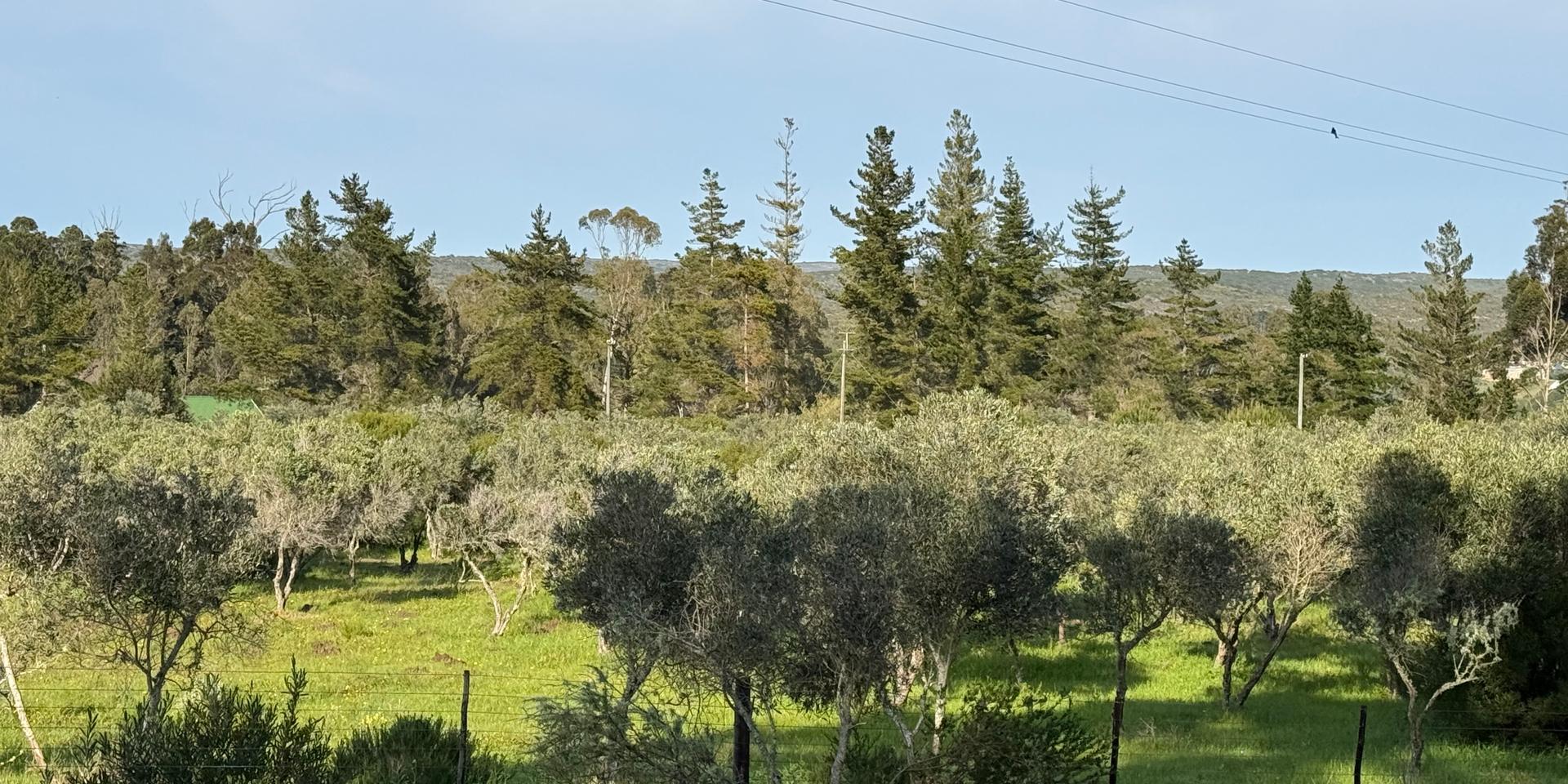 Image 3 of 6