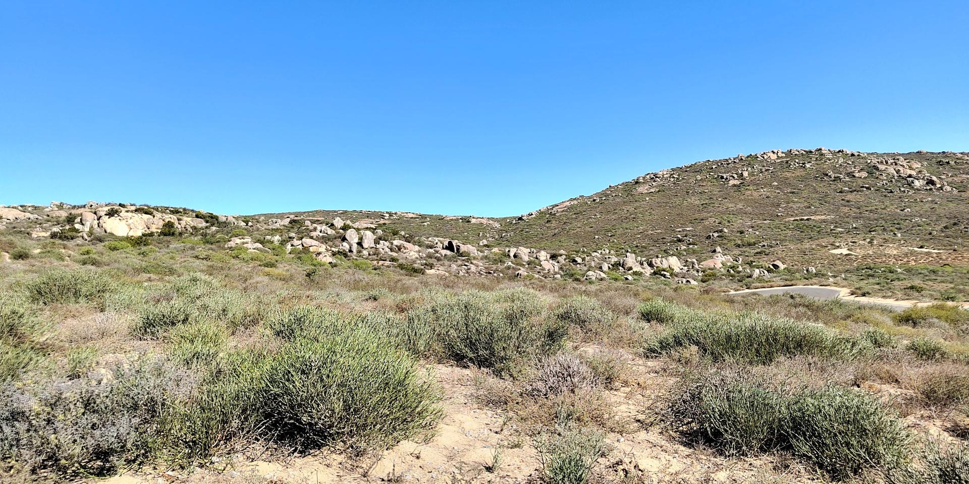 Image 2 of 6