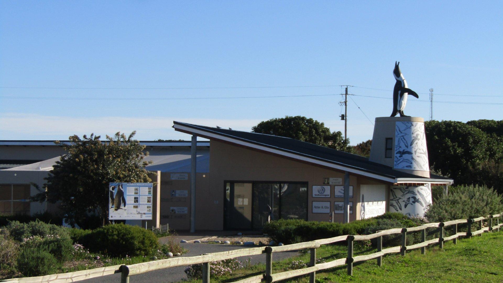 Image 13