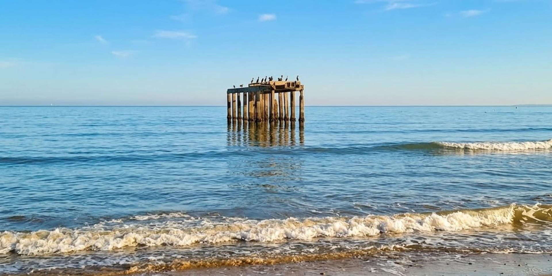Image 1 of 6