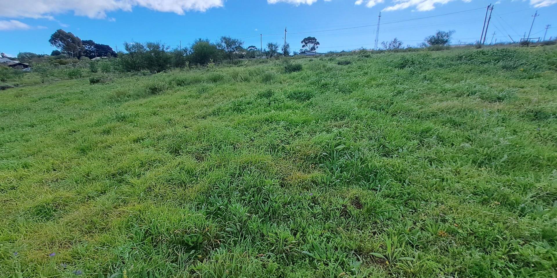 Image 4 of 6