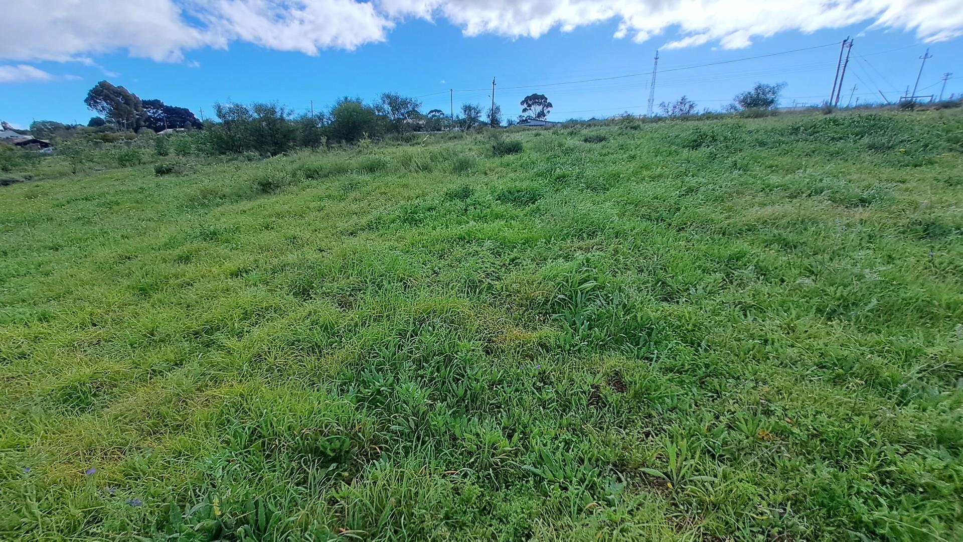 Image 4 of 6