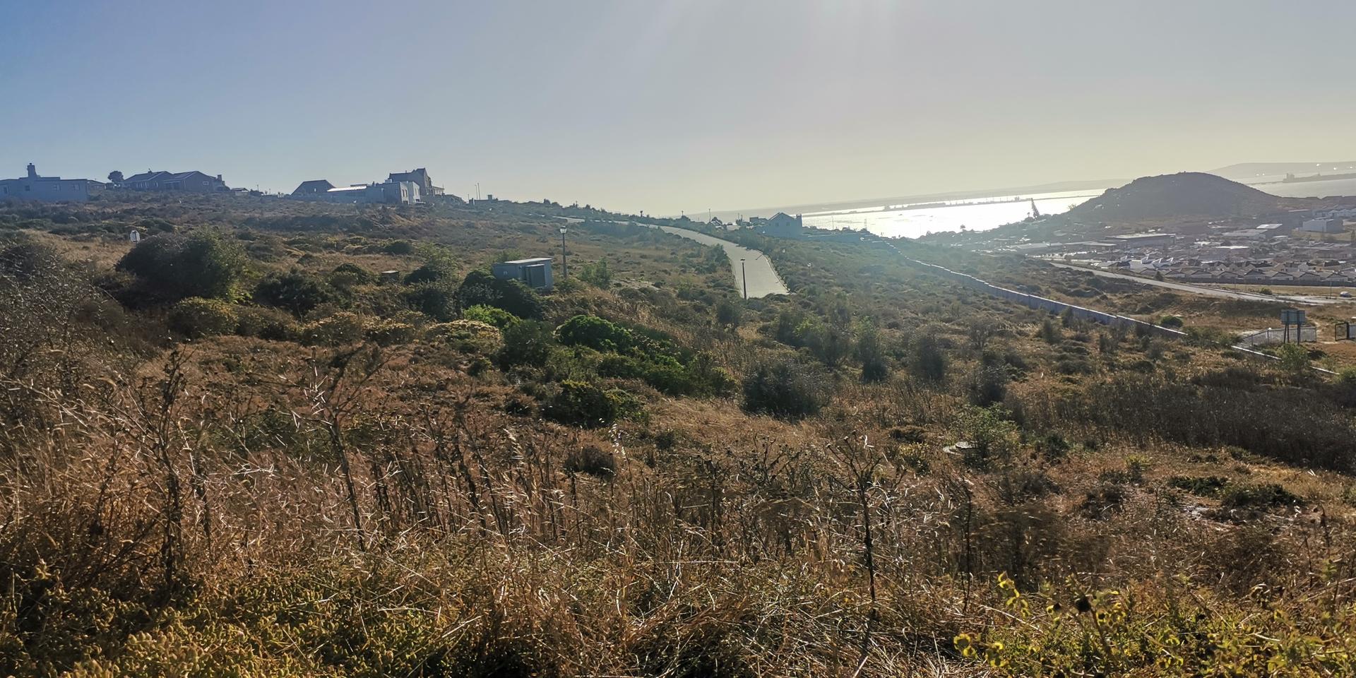 Image 5 of 6
