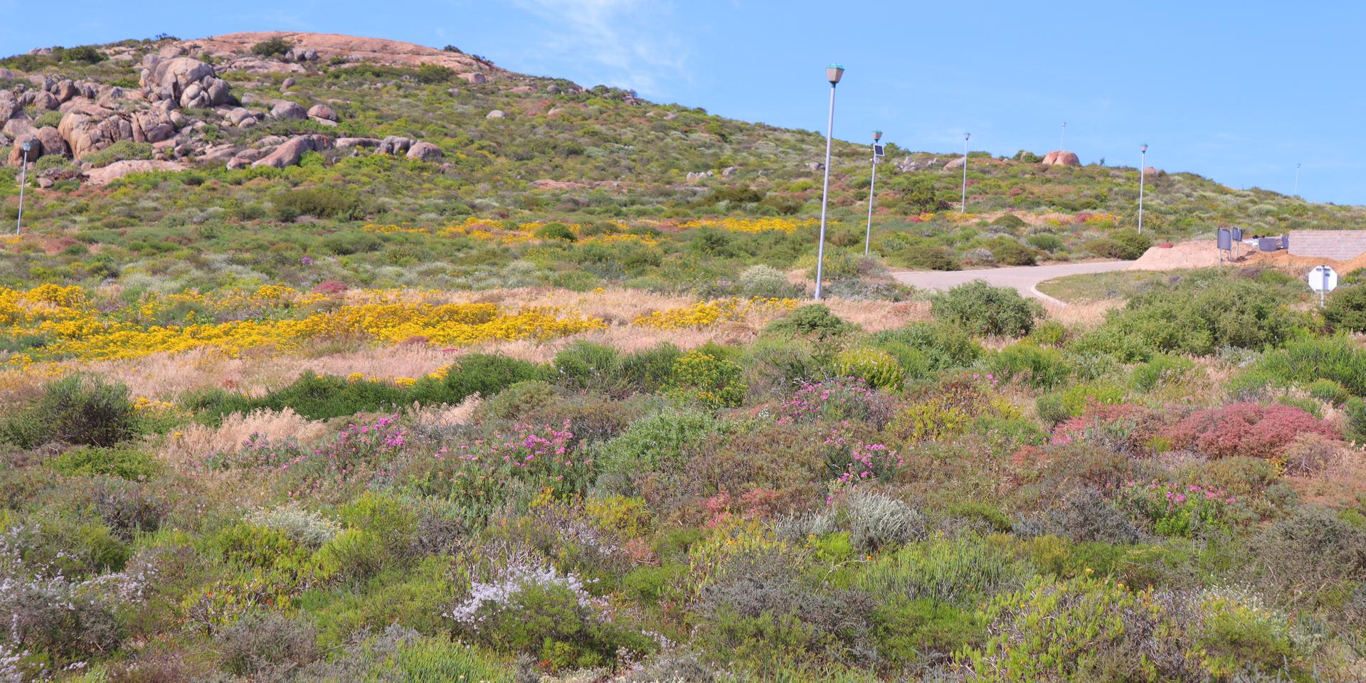 Image 4 of 6