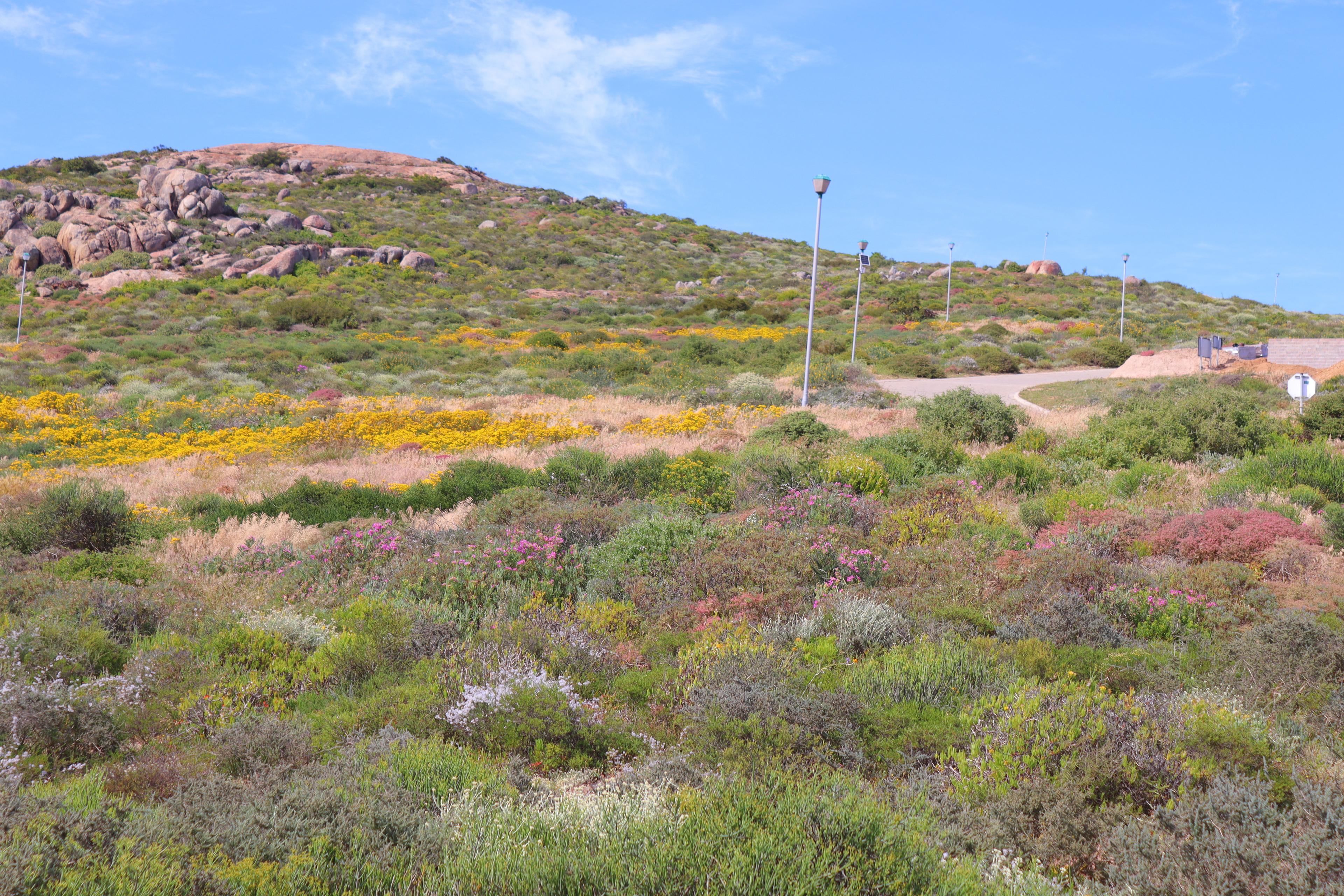 Image 4 of 6