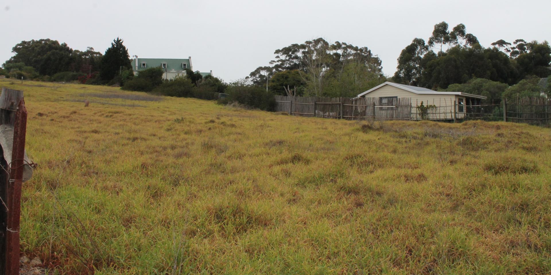 Image 4 of 6