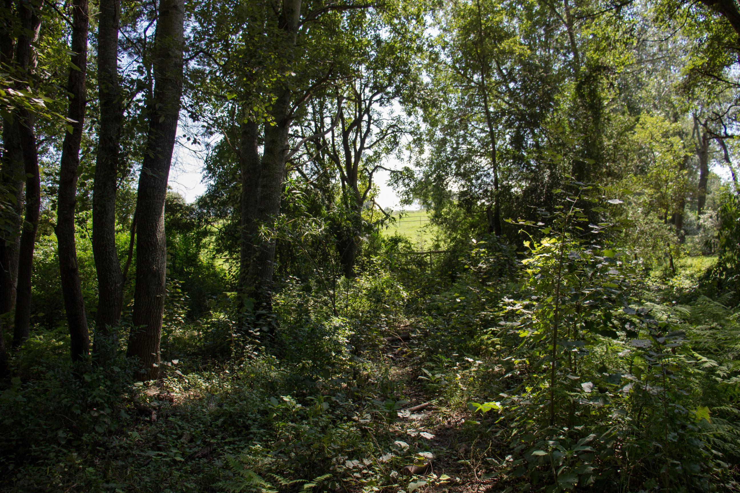 Image 34