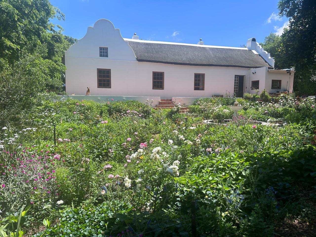 Image 26