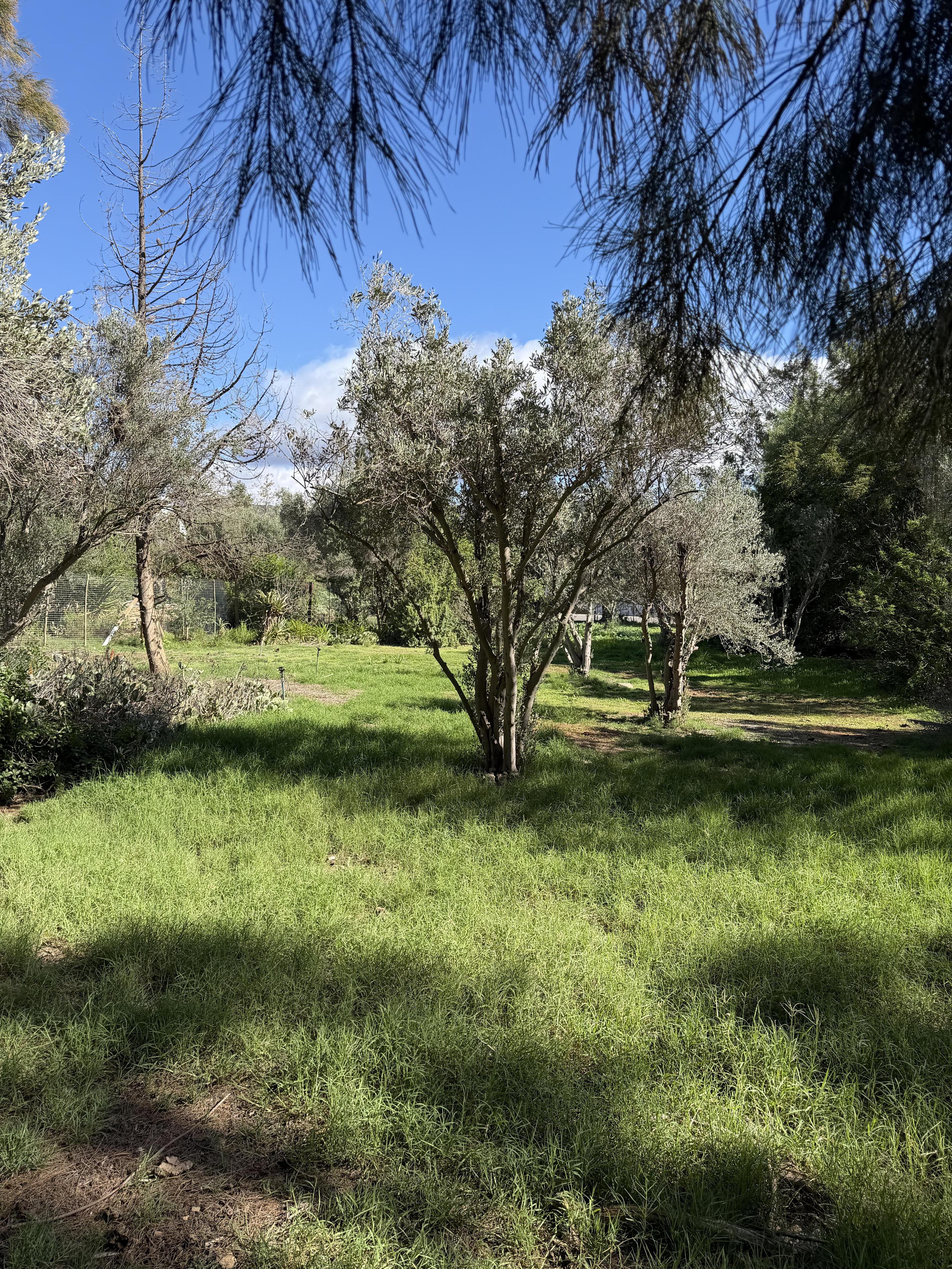 Image 2 of 6