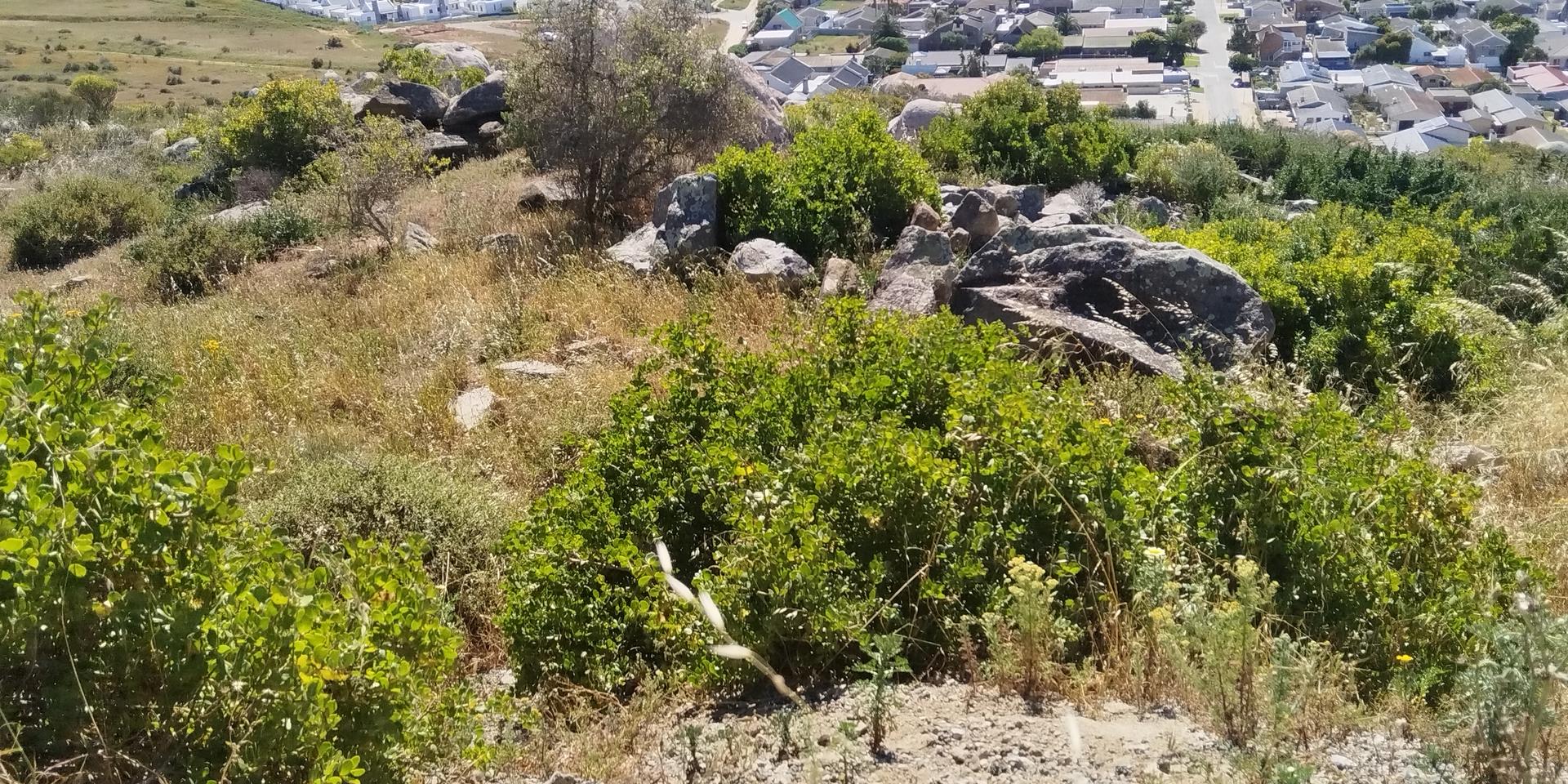 Image 5 of 6