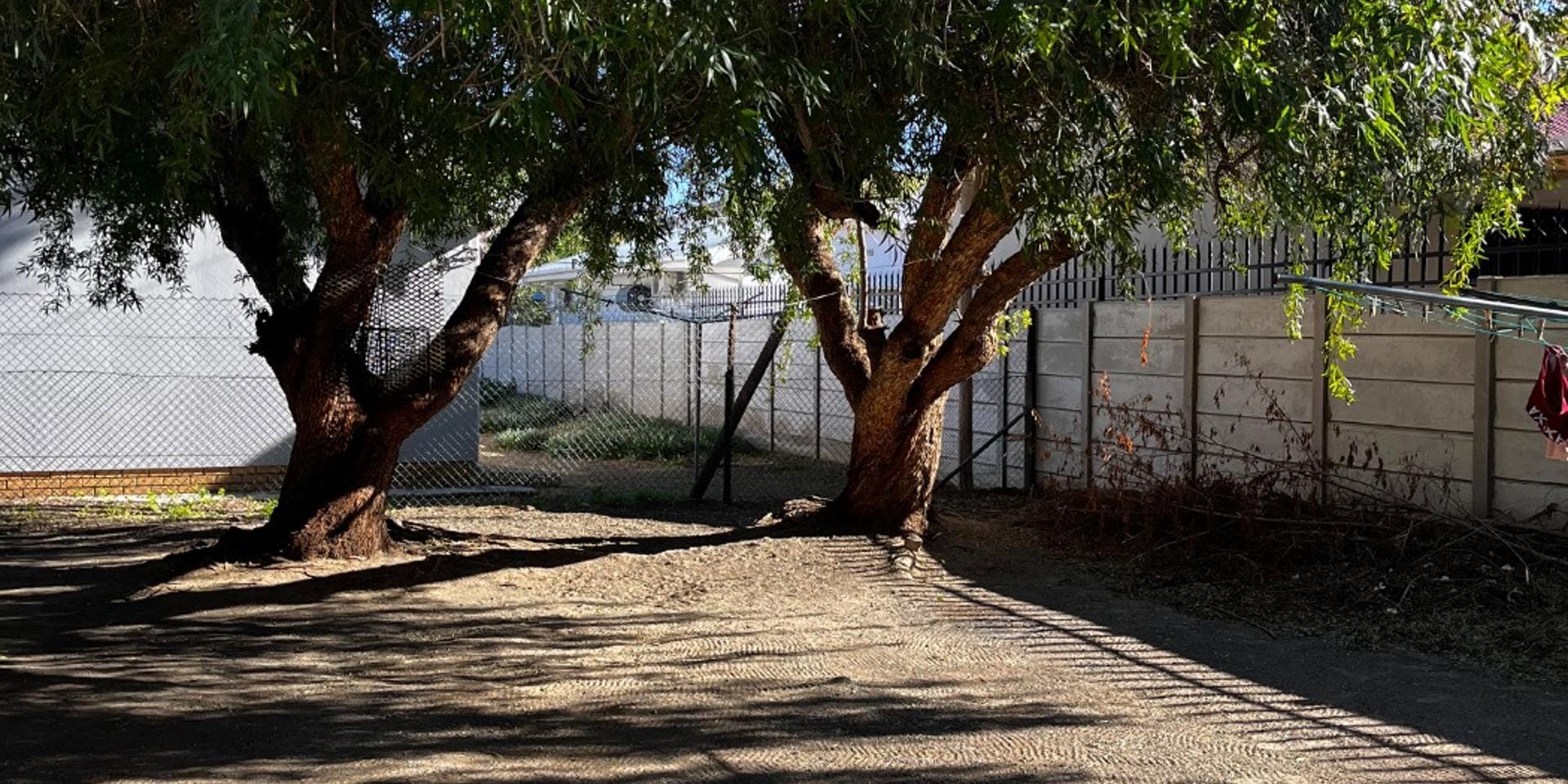 Image 4 of 6