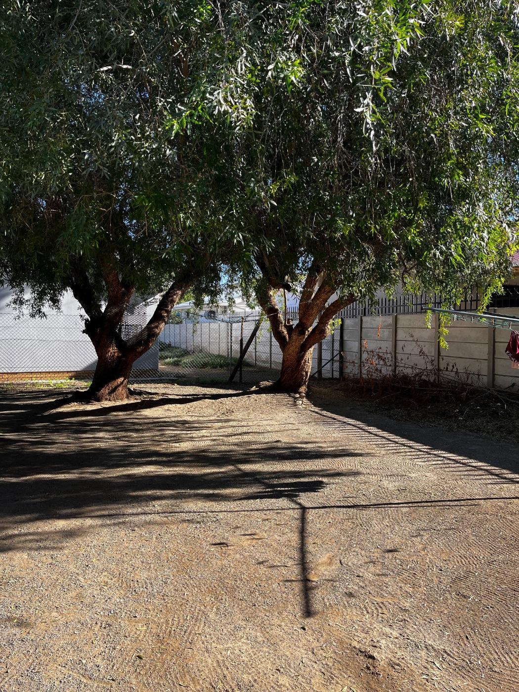 Image 4 of 6