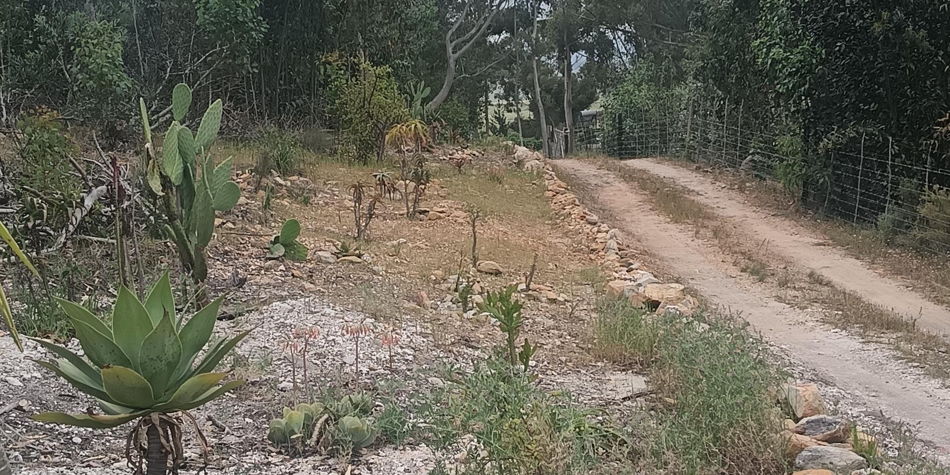 Image 5 of 6