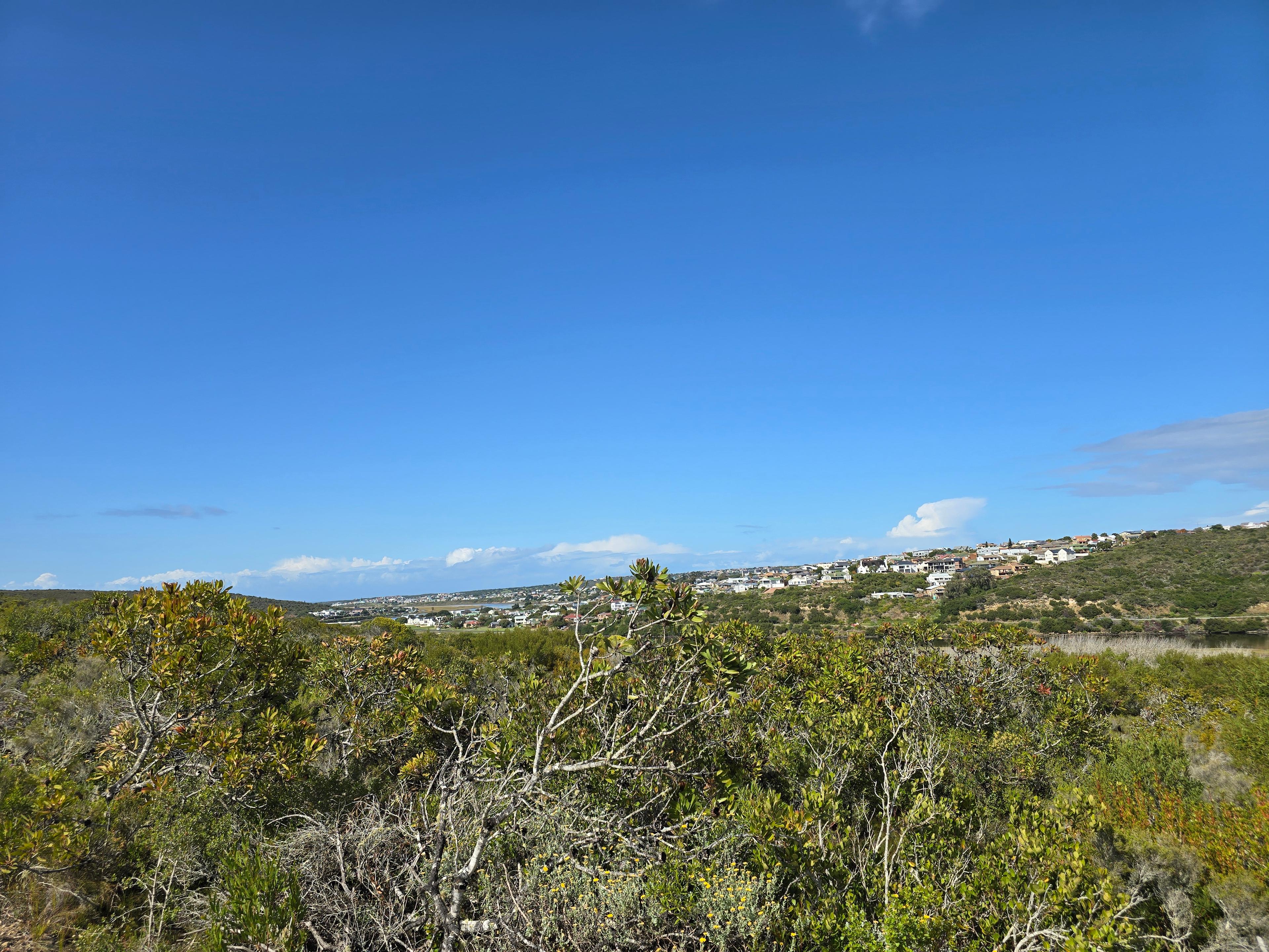 Image 3 of 6