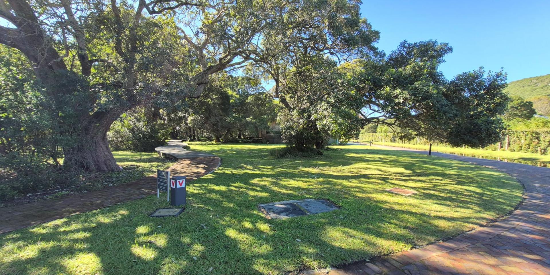 Image 4 of 6