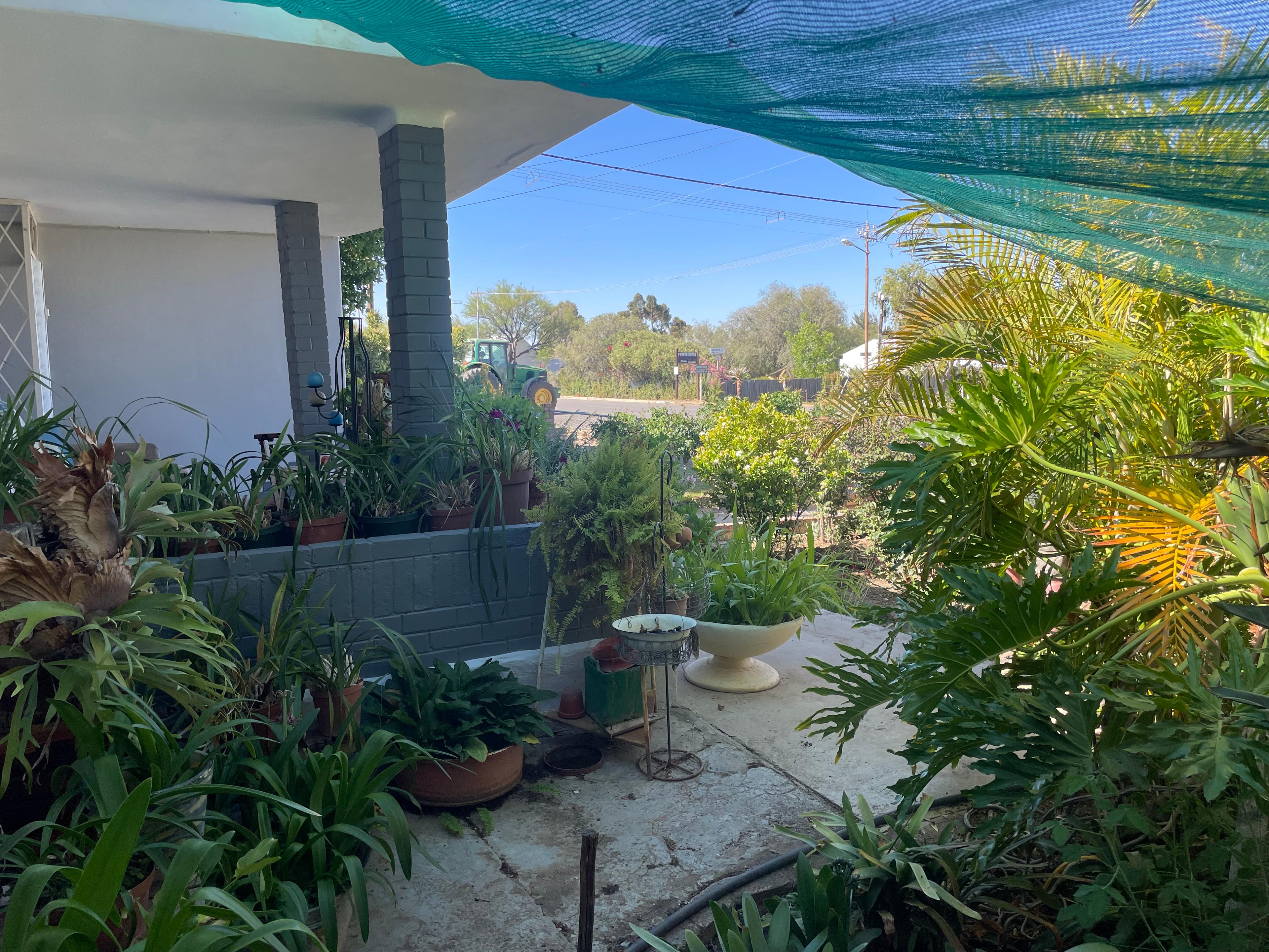 Image 31