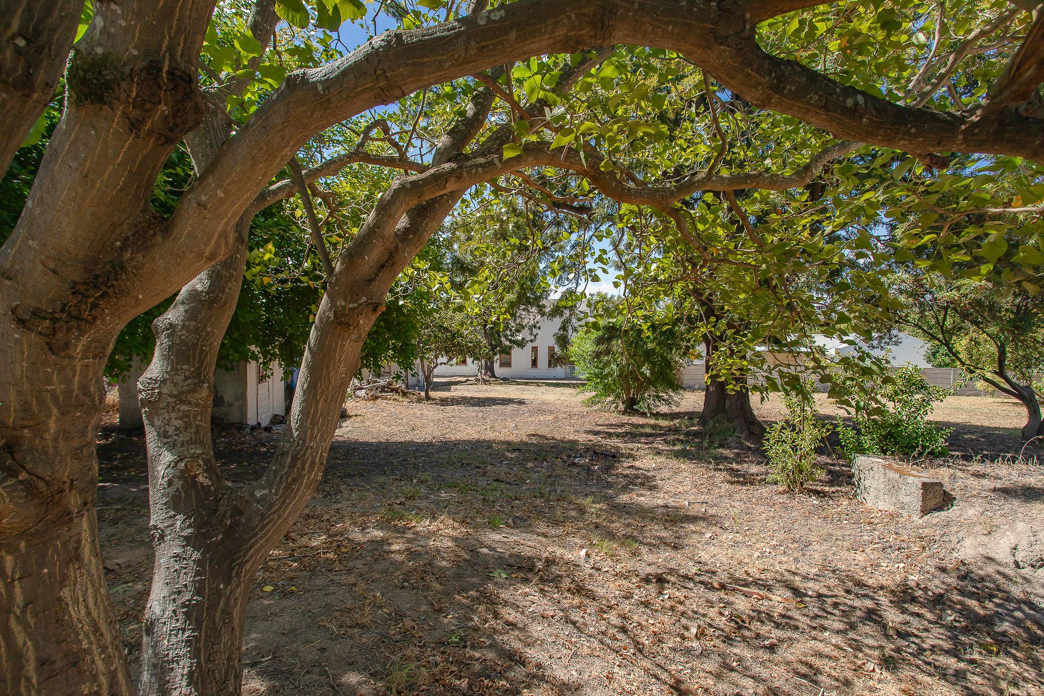Image 12