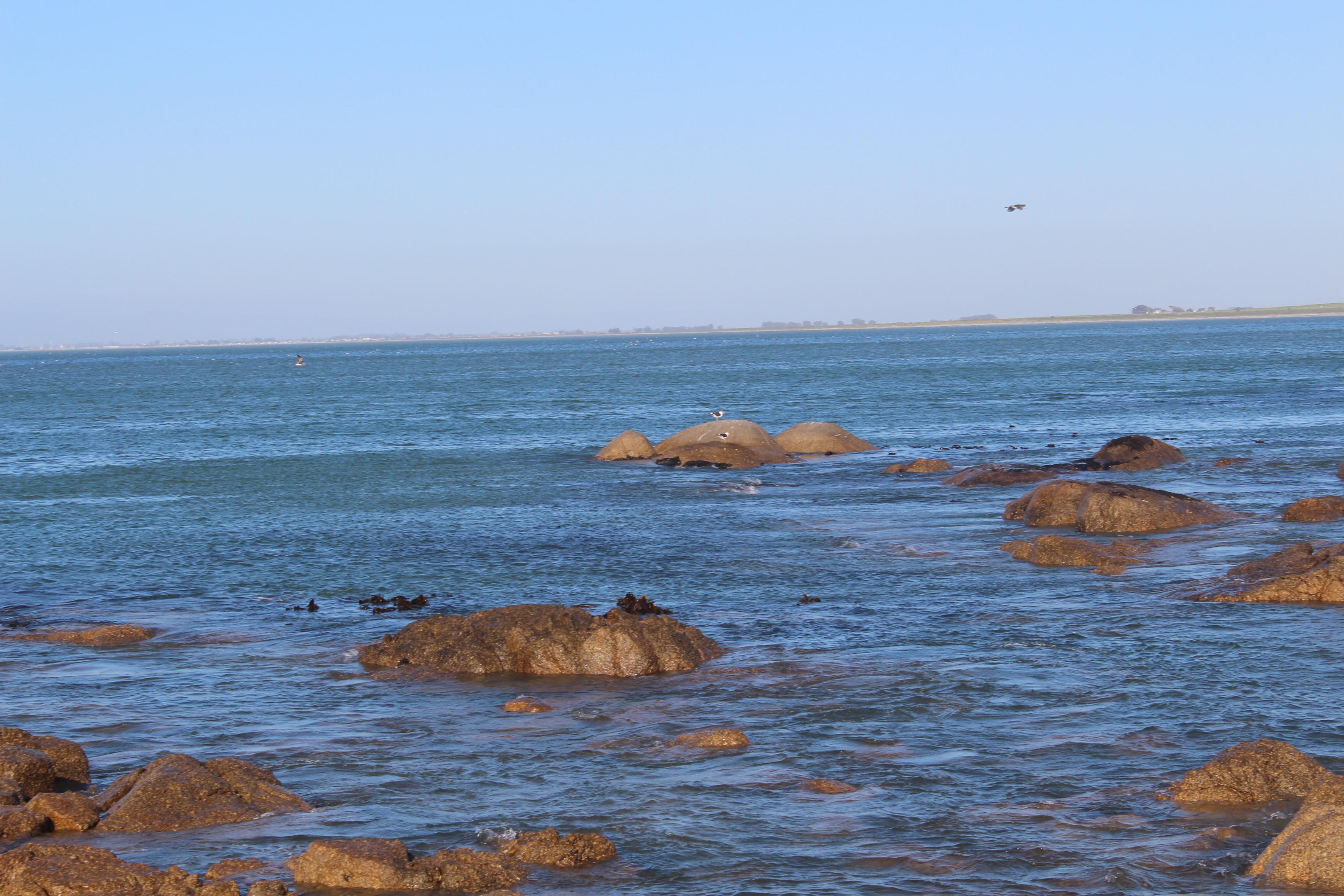 Image 37