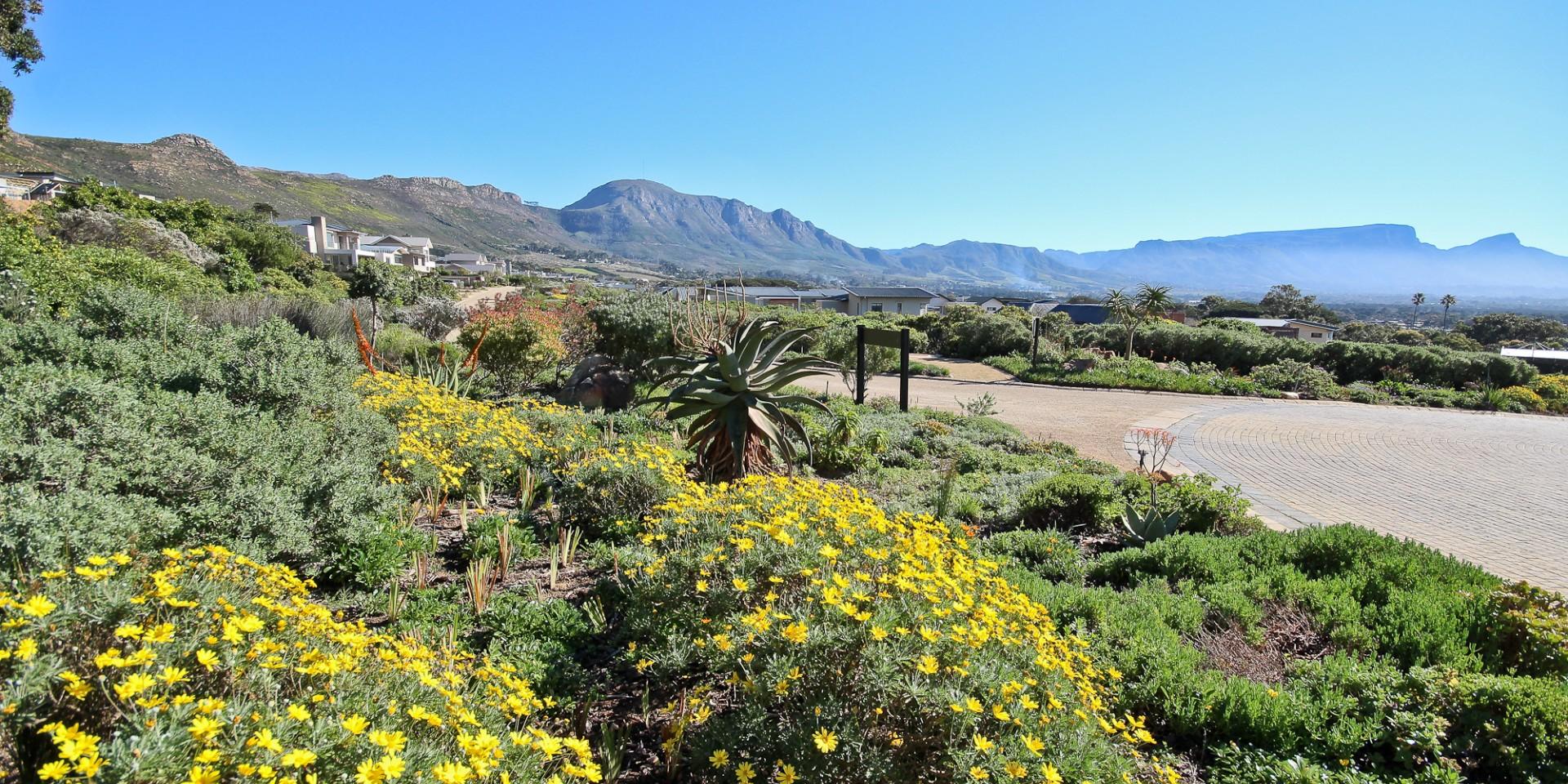 Image 3 of 6
