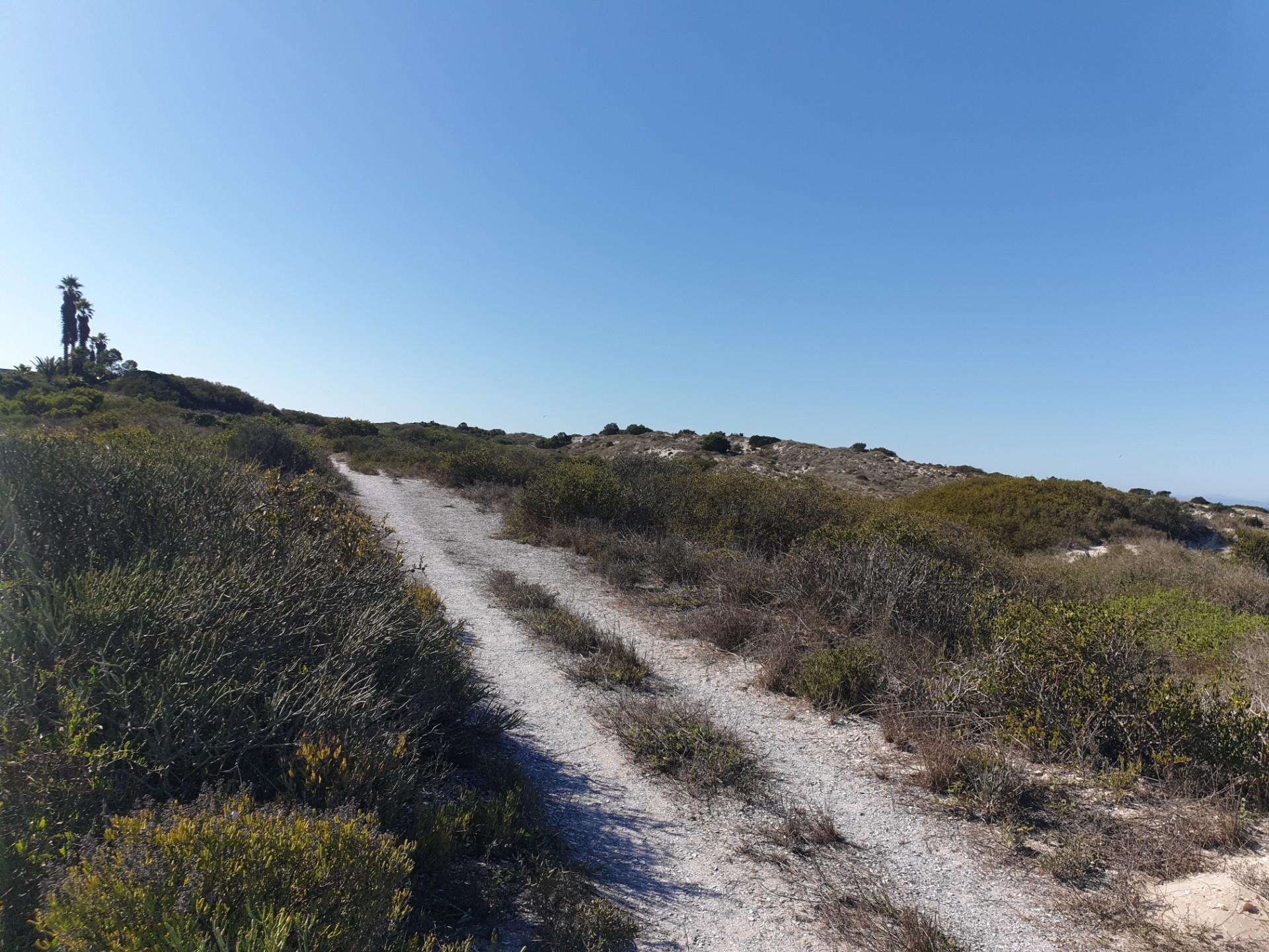 Image 9