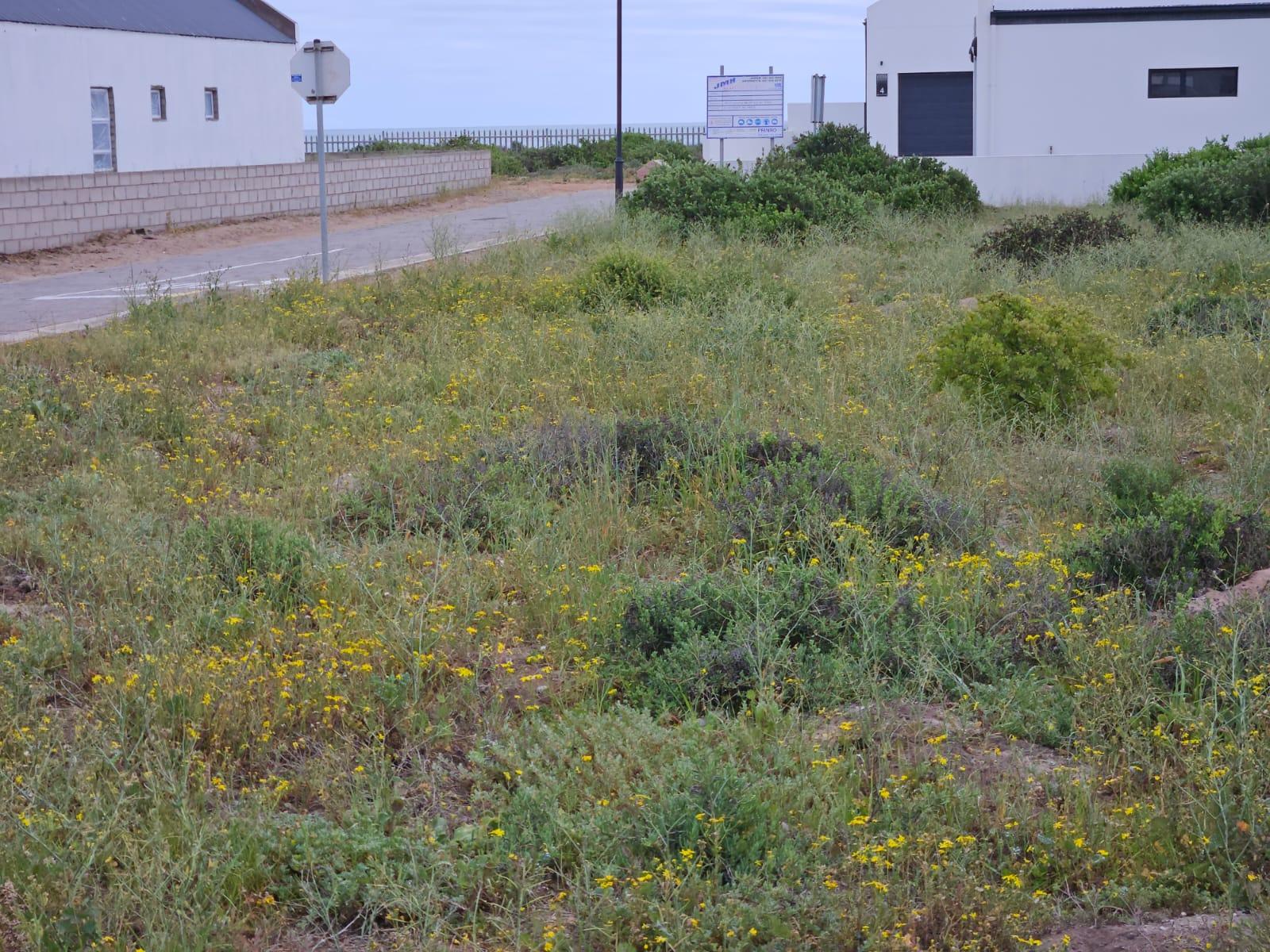 Image 7