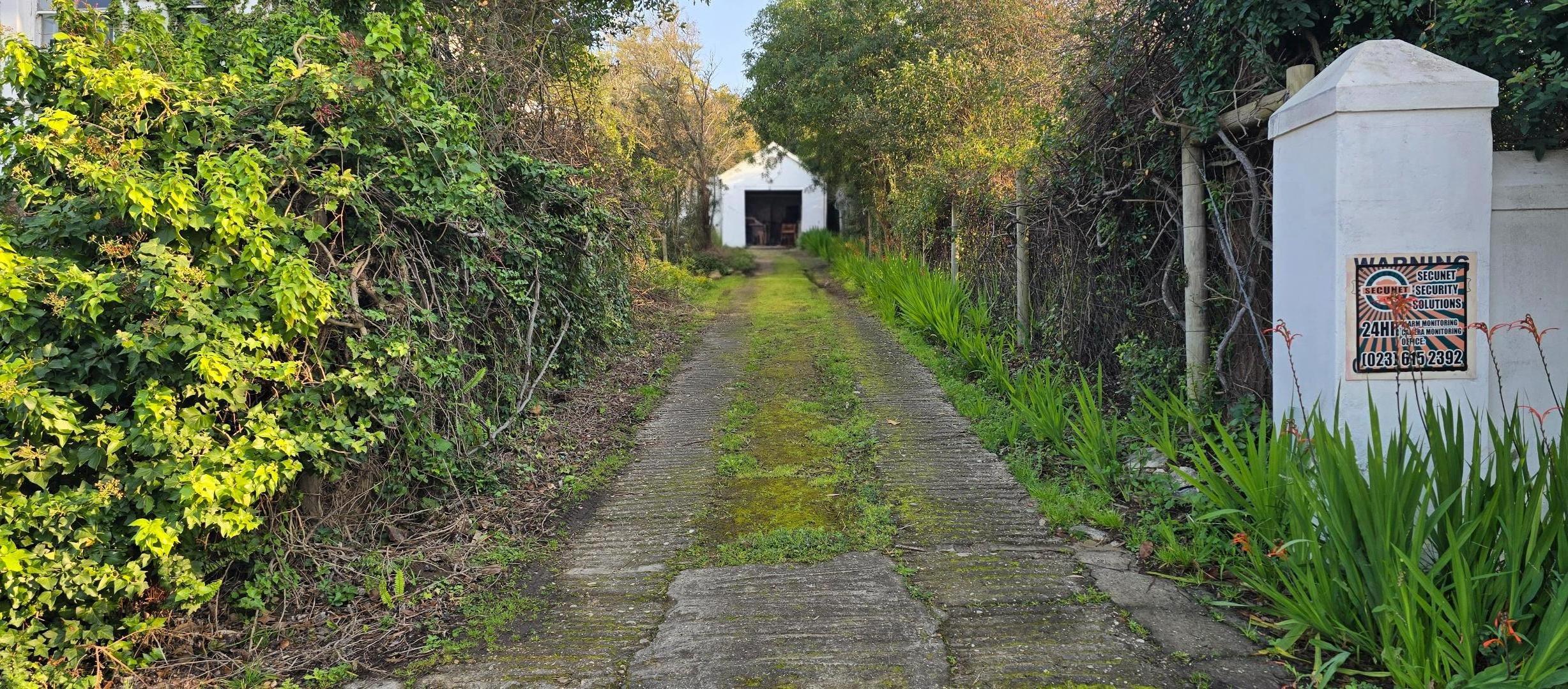 Image 29