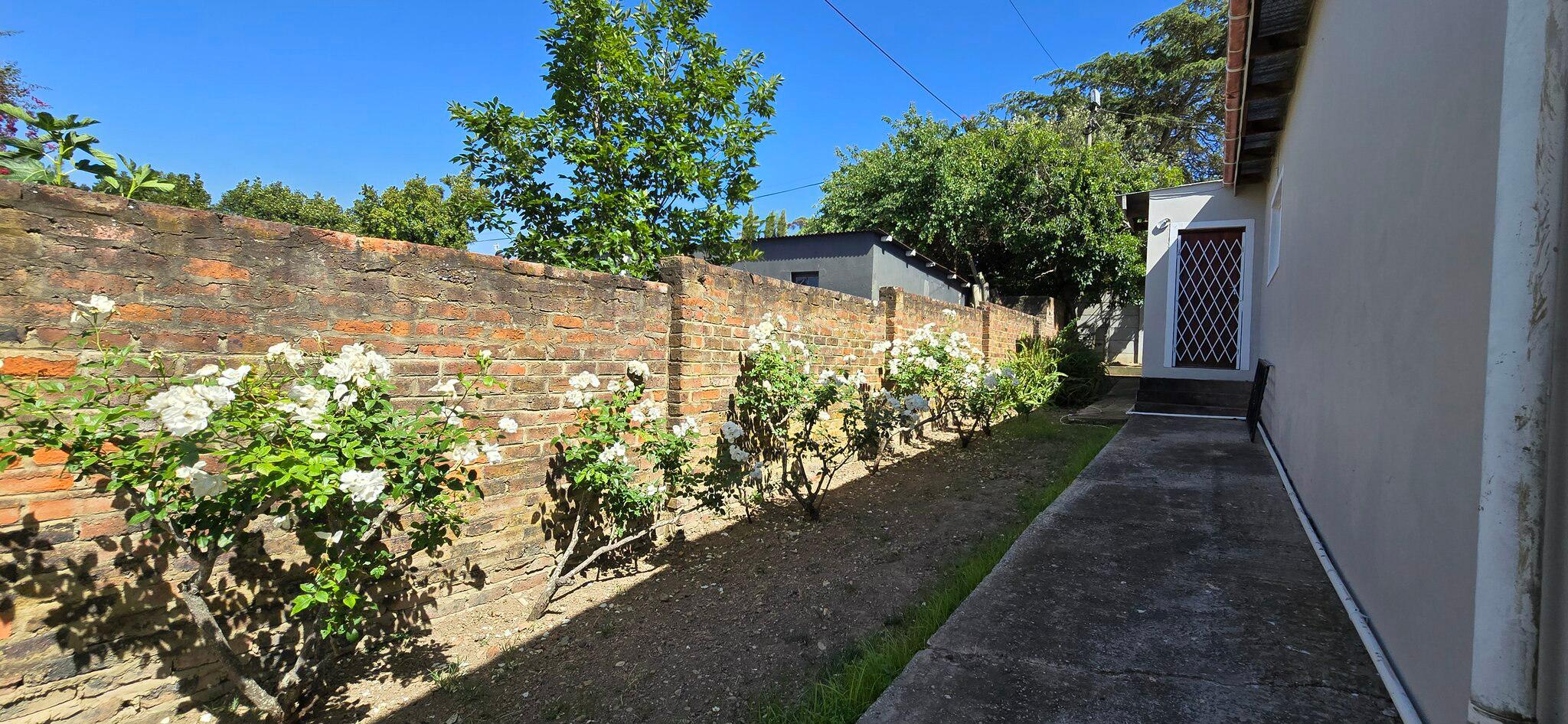 Image 21