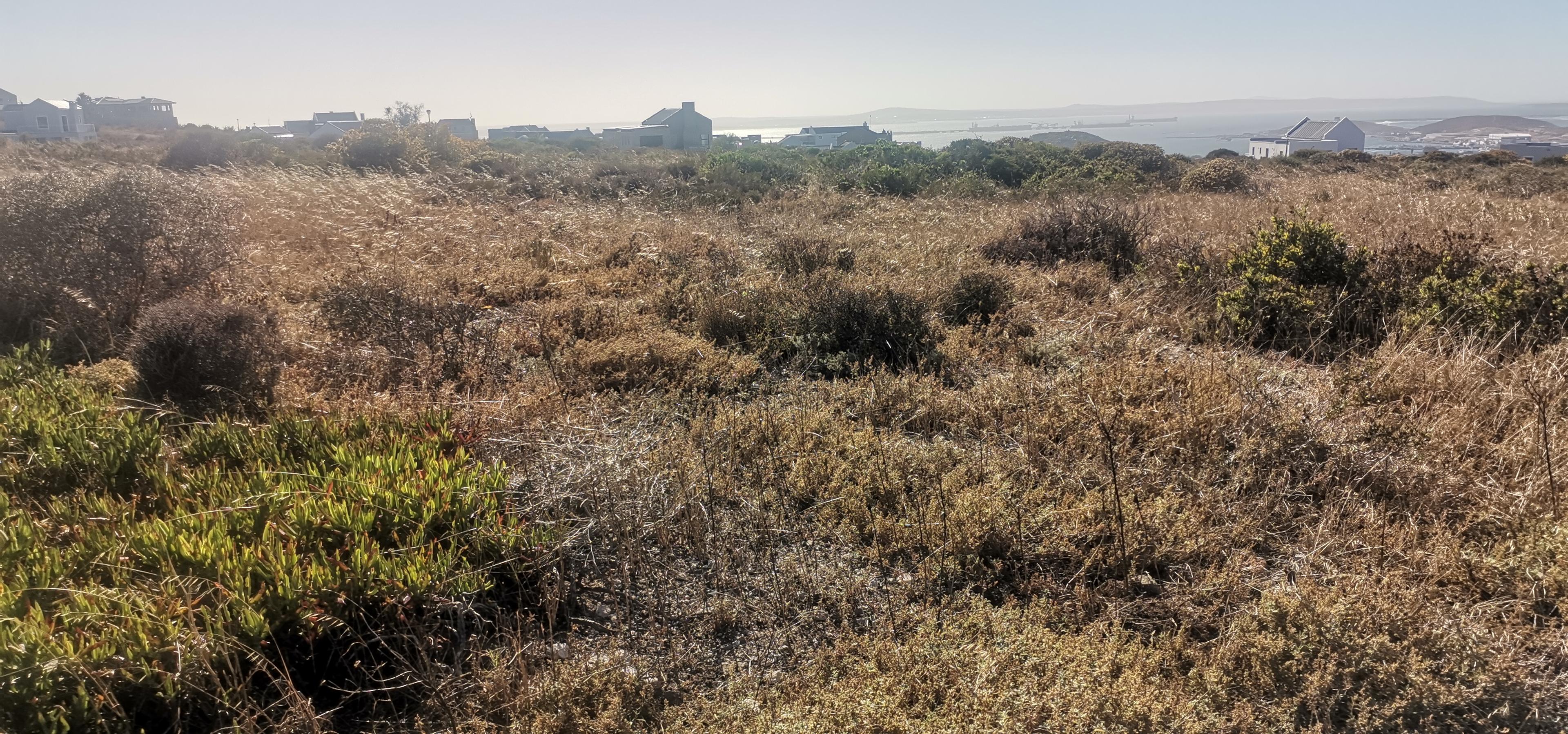 Image 4 of 6