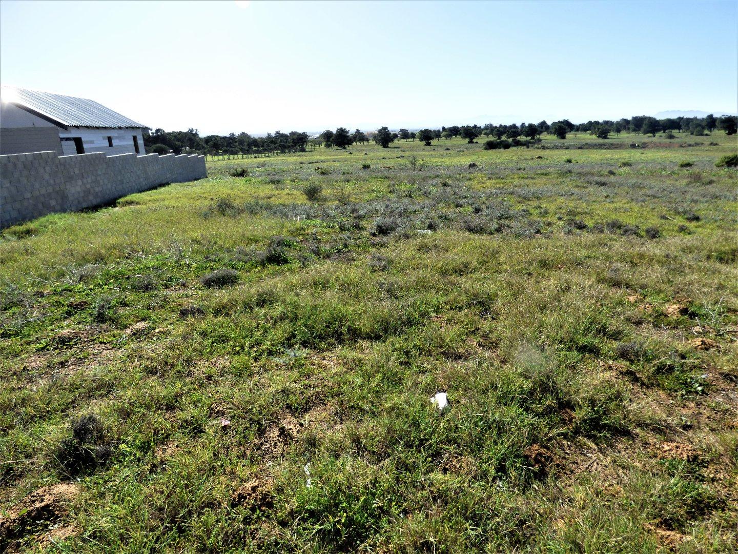 Image 4 of 6