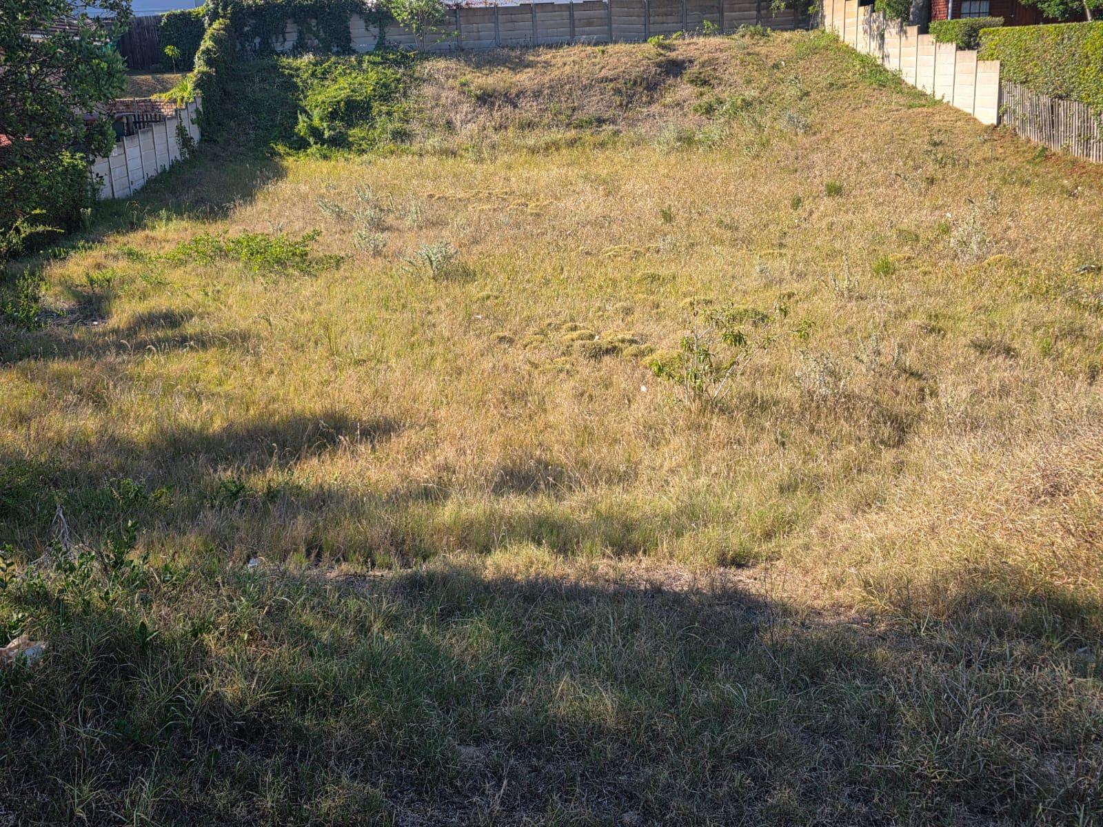 Image 8