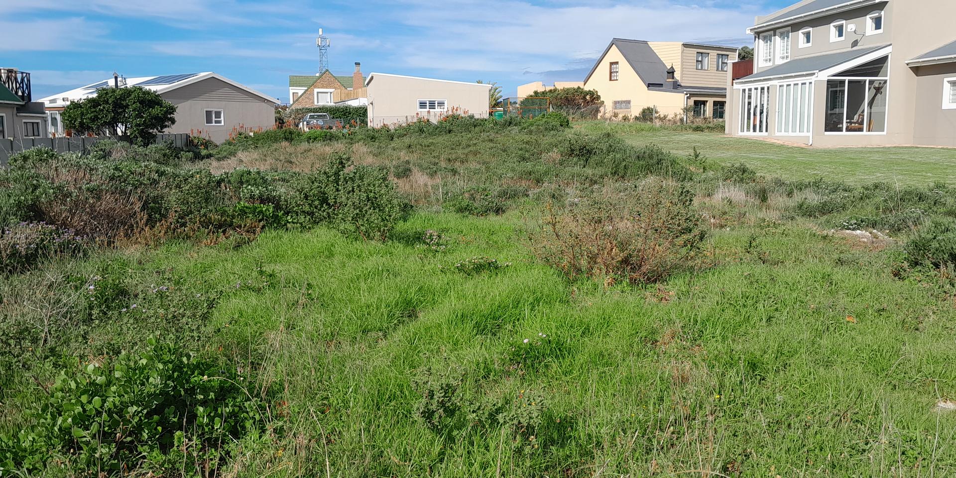 Image 4 of 6
