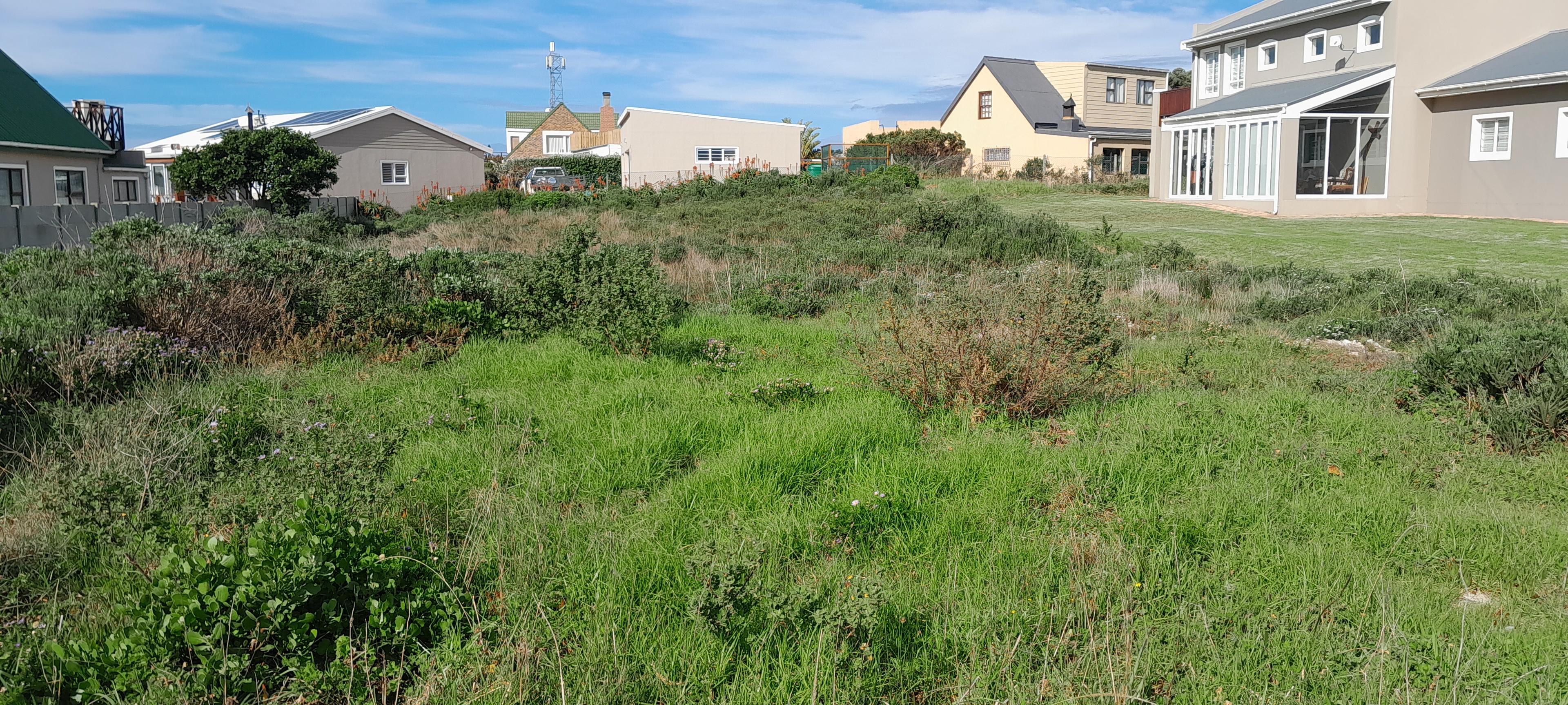 Image 4 of 6
