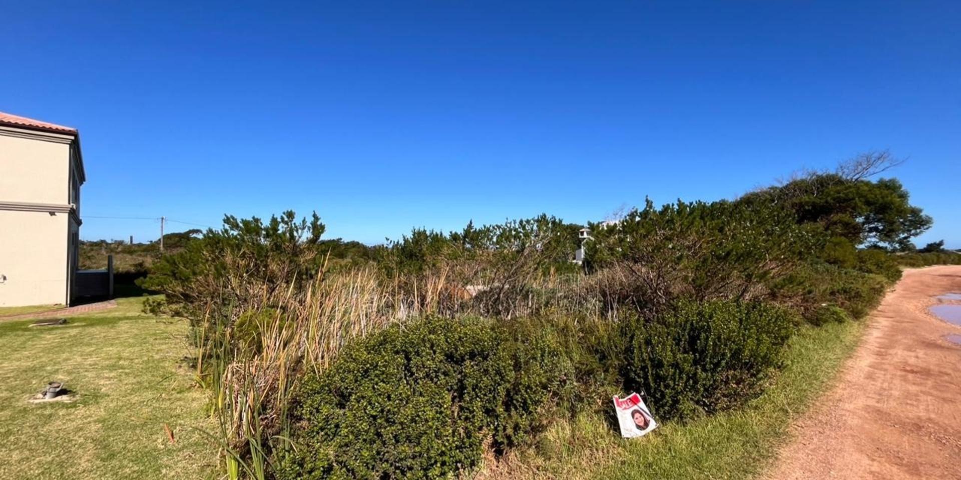 Image 2 of 6