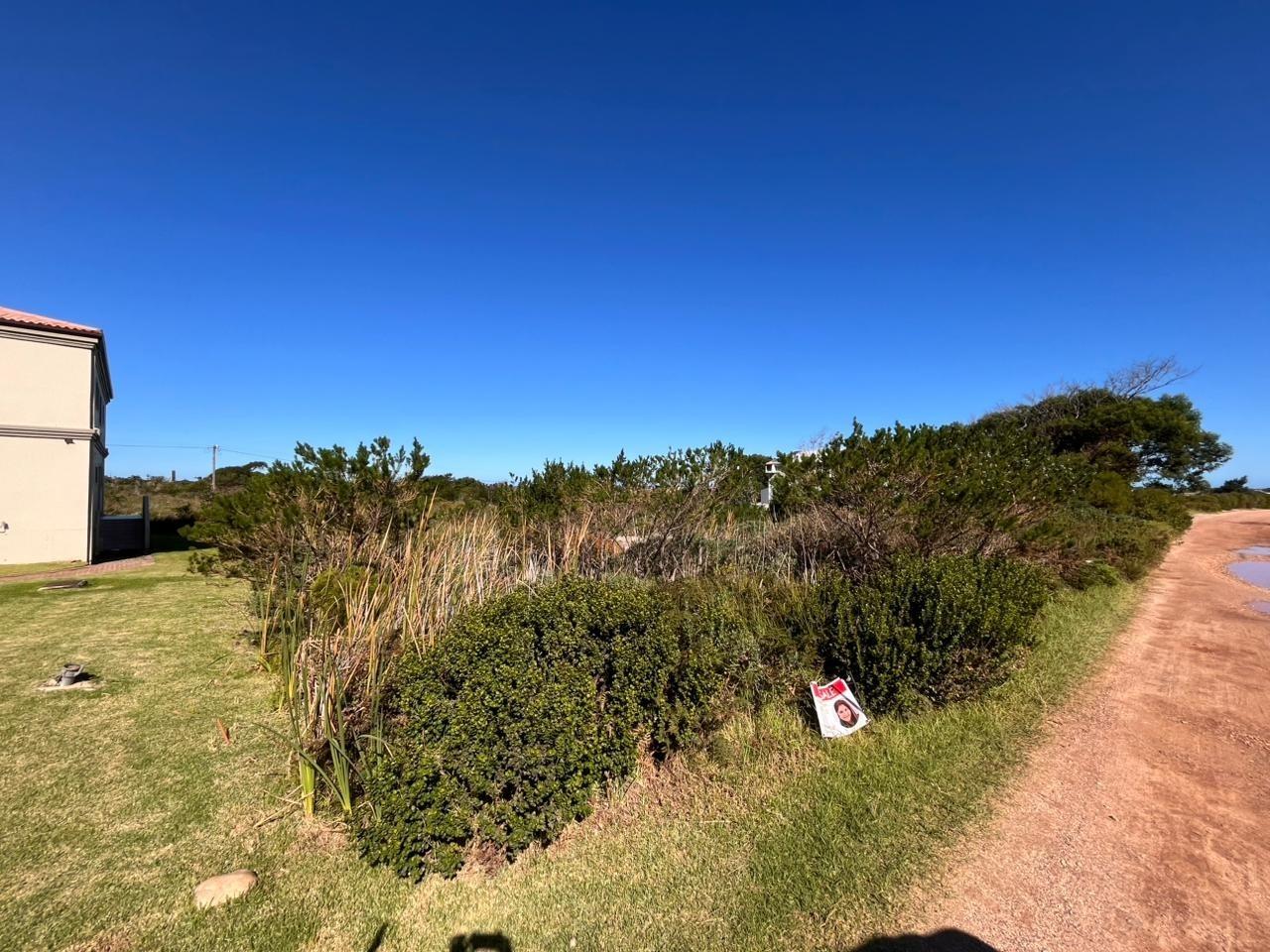 Image 2 of 6