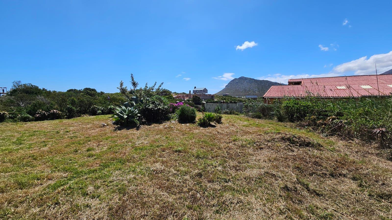 Image 12