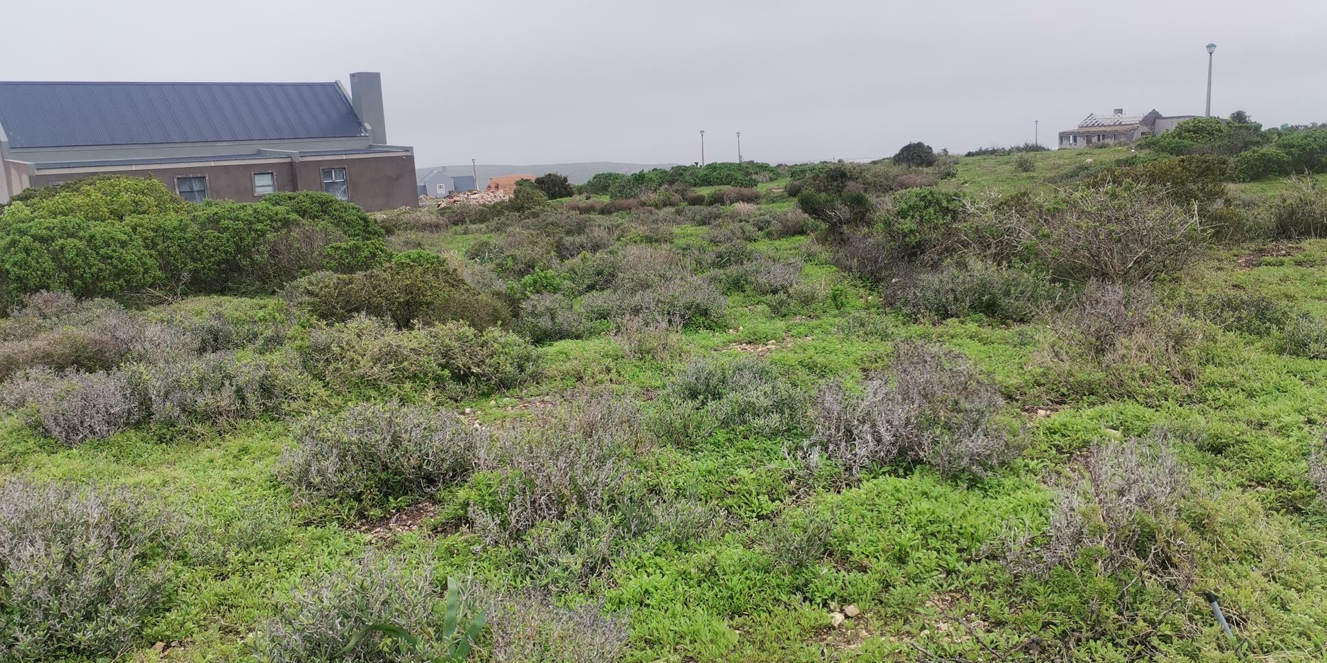 Image 4 of 6