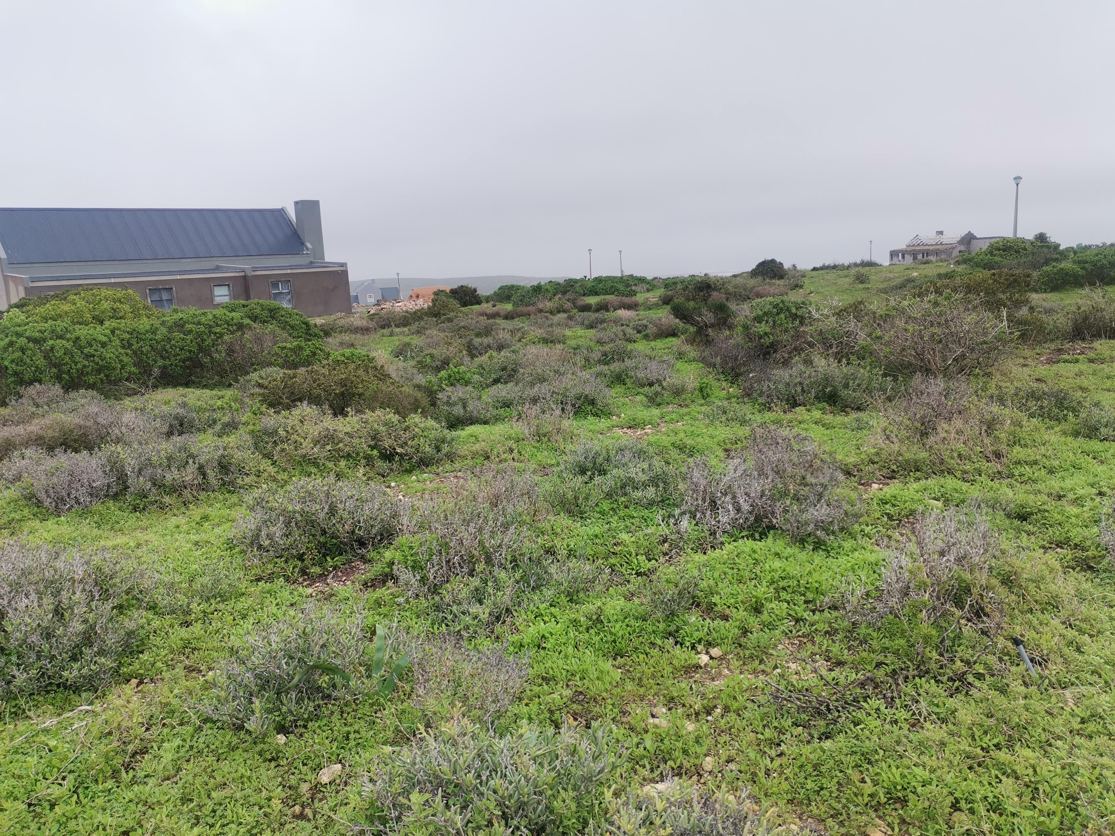 Image 4 of 6