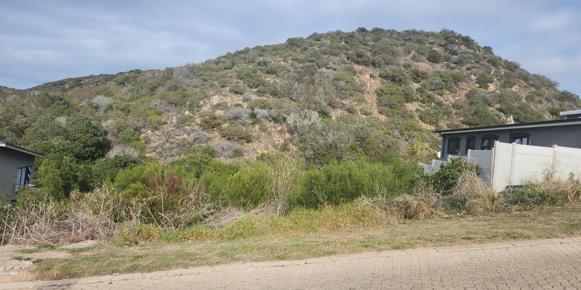 Image 4 of 6