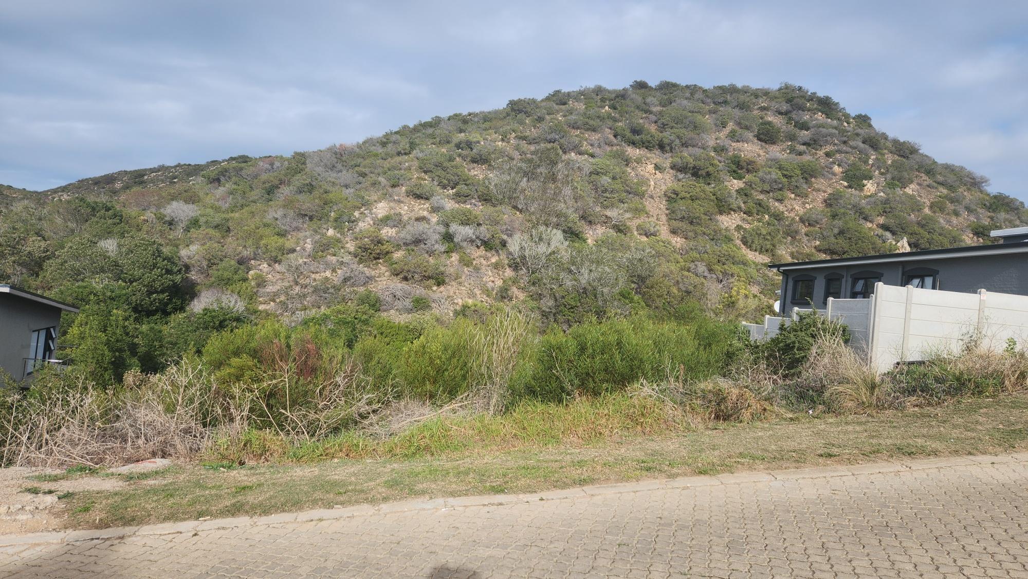 Image 4 of 6