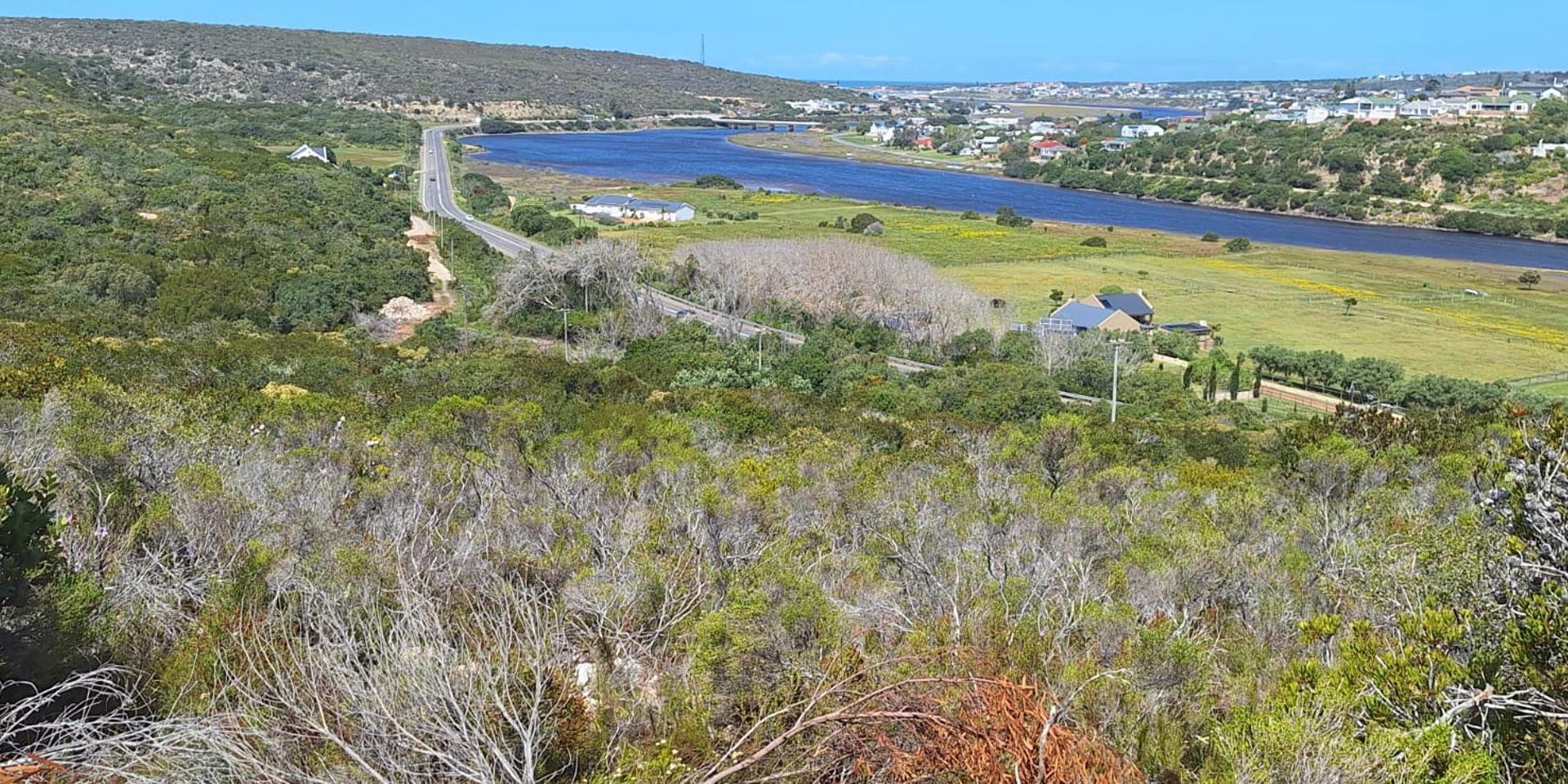 Image 5 of 6