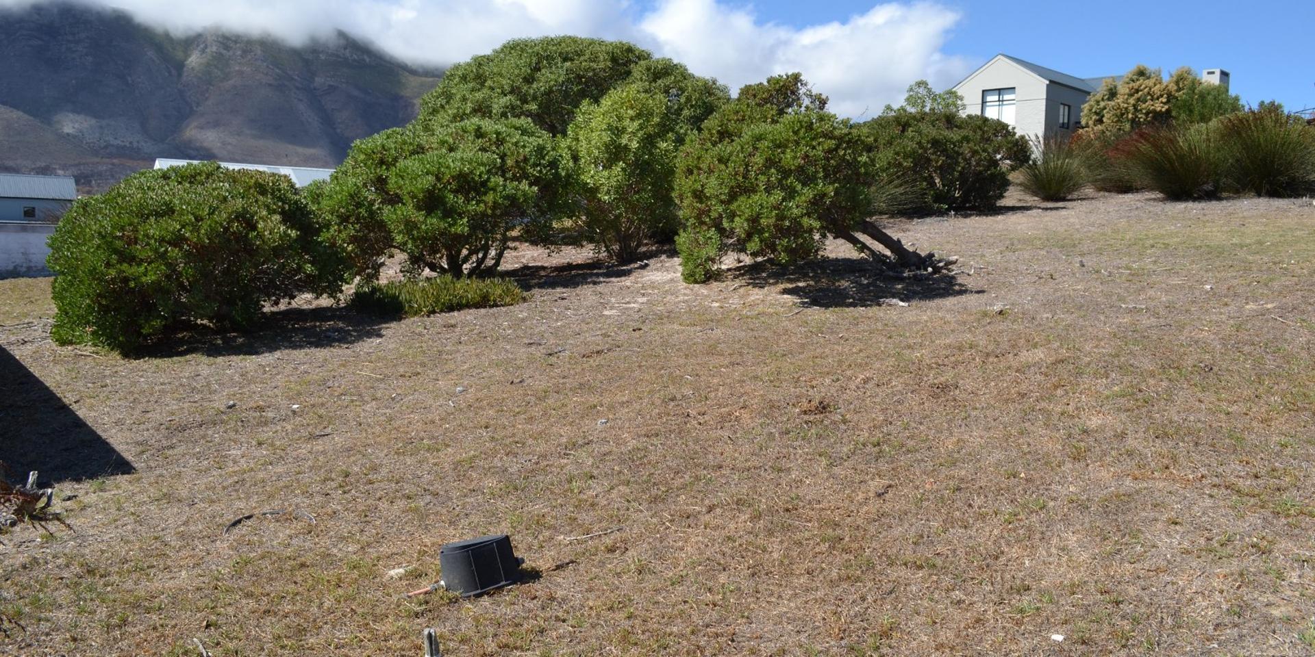 Image 3 of 6