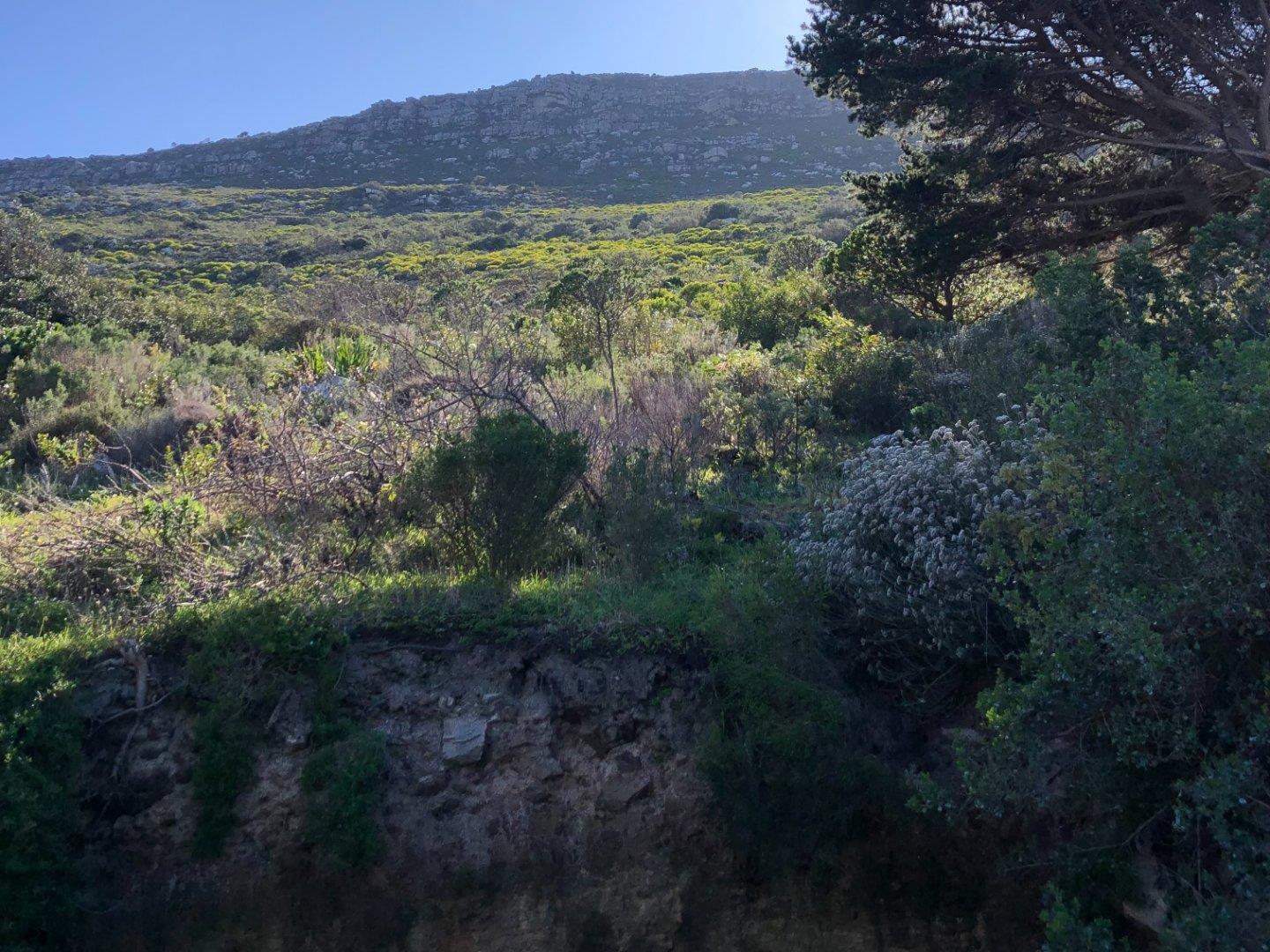 Image 4 of 6