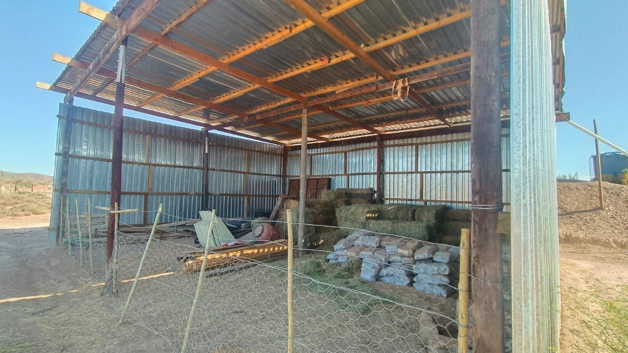 Image 5 of 6